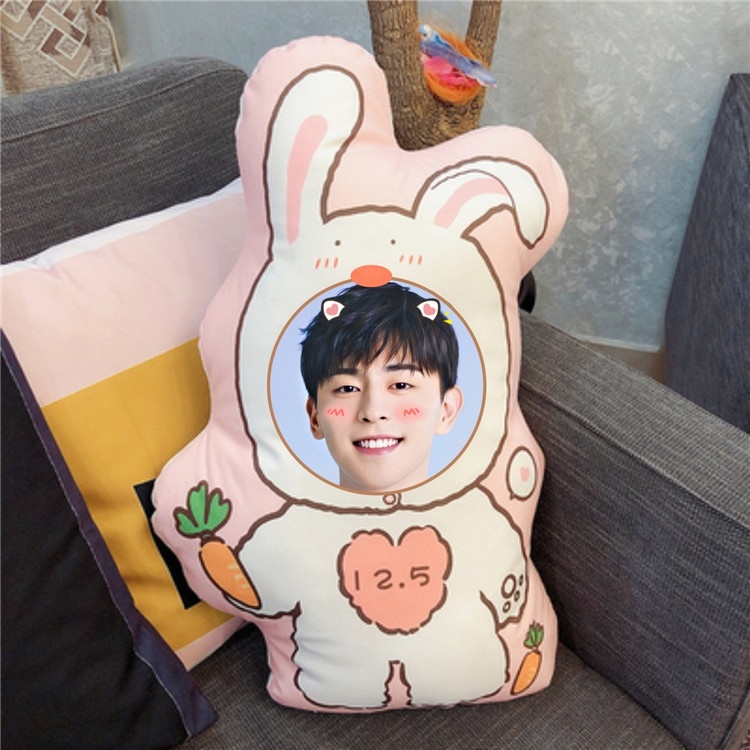 Pre - หมอนการ์ตูนลาย #เติ้งหลุน