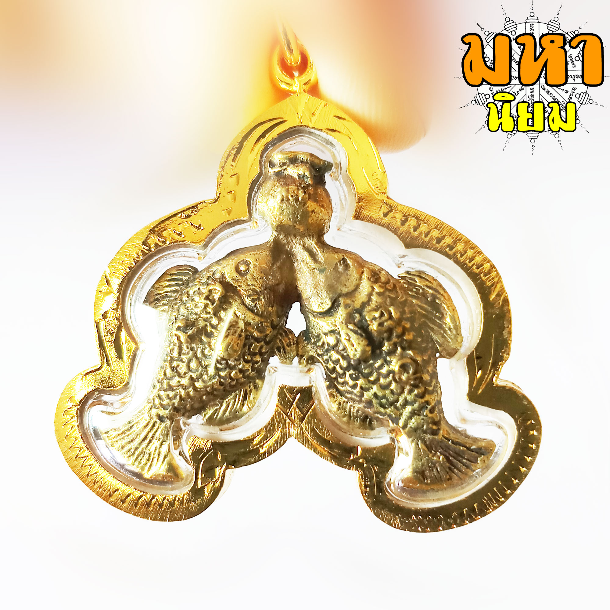 ปลาตะเพียนคู่ ชูหม้อ เงิน ทอง หลวงพ่อสง่า วัดบ้านหม้อ จ.ราชบุรี