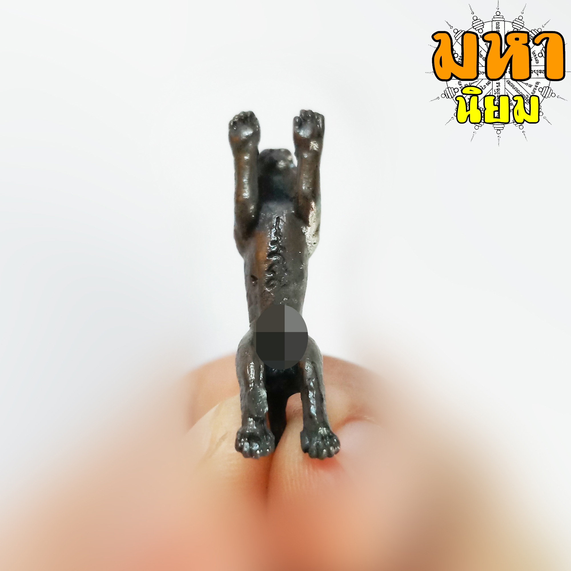 เสือเผ่น หลวงพ่อสุด วัดกาหลง ปลุกเสก สำนักสงฆ์แพรกกระทุ่ม จ.ฉะเชิงเทรา