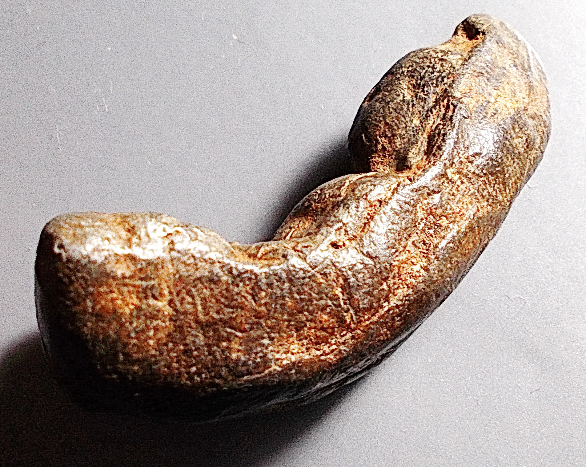 พระถ้ำเสือ เนื้อดิน กรุเก่า สุพรรณบุรี