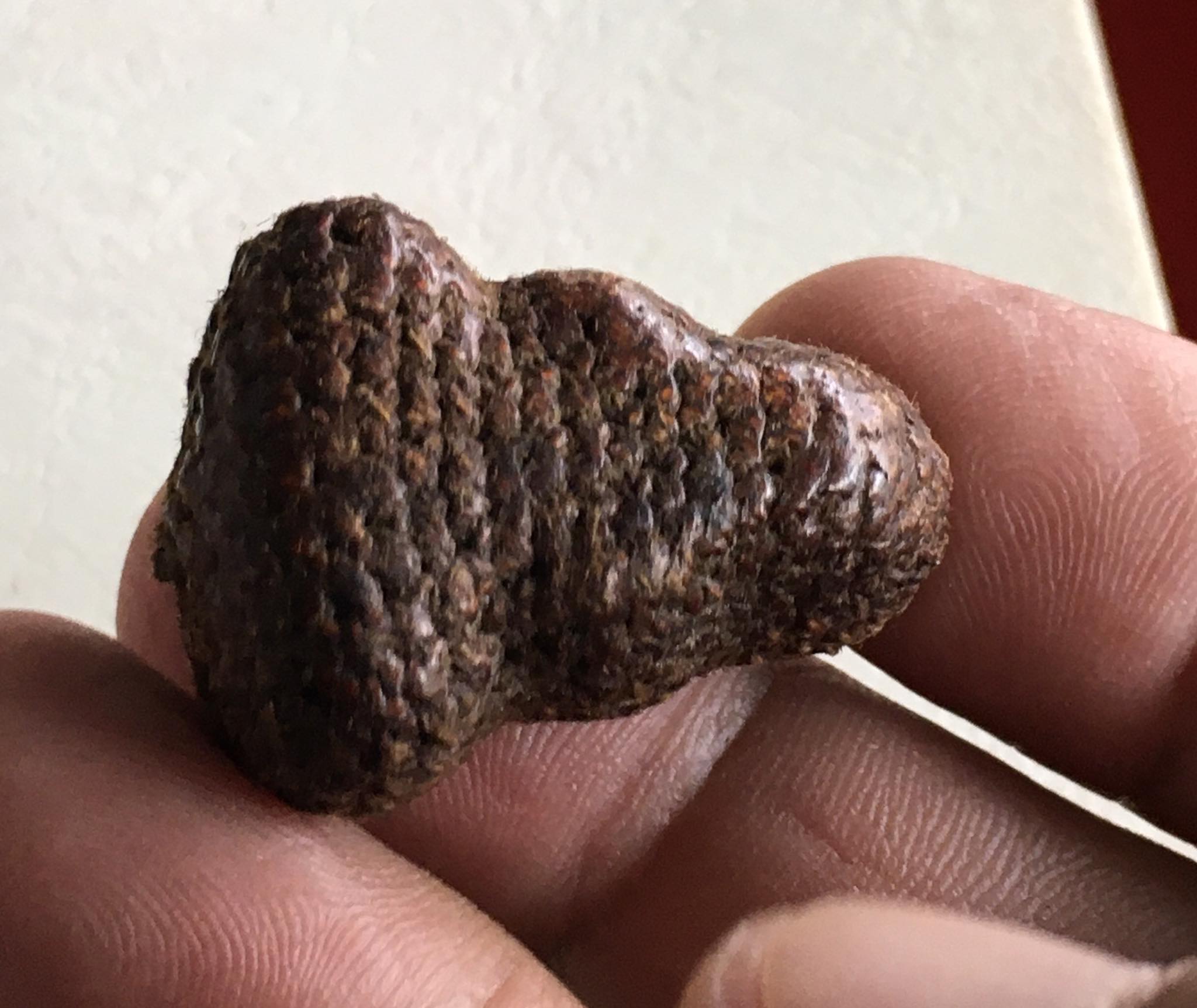 พระปิดตาเนื้อผง คลุงรัก ถักเชือก หลวงพ่อทองสุข วัดสะพานสูง