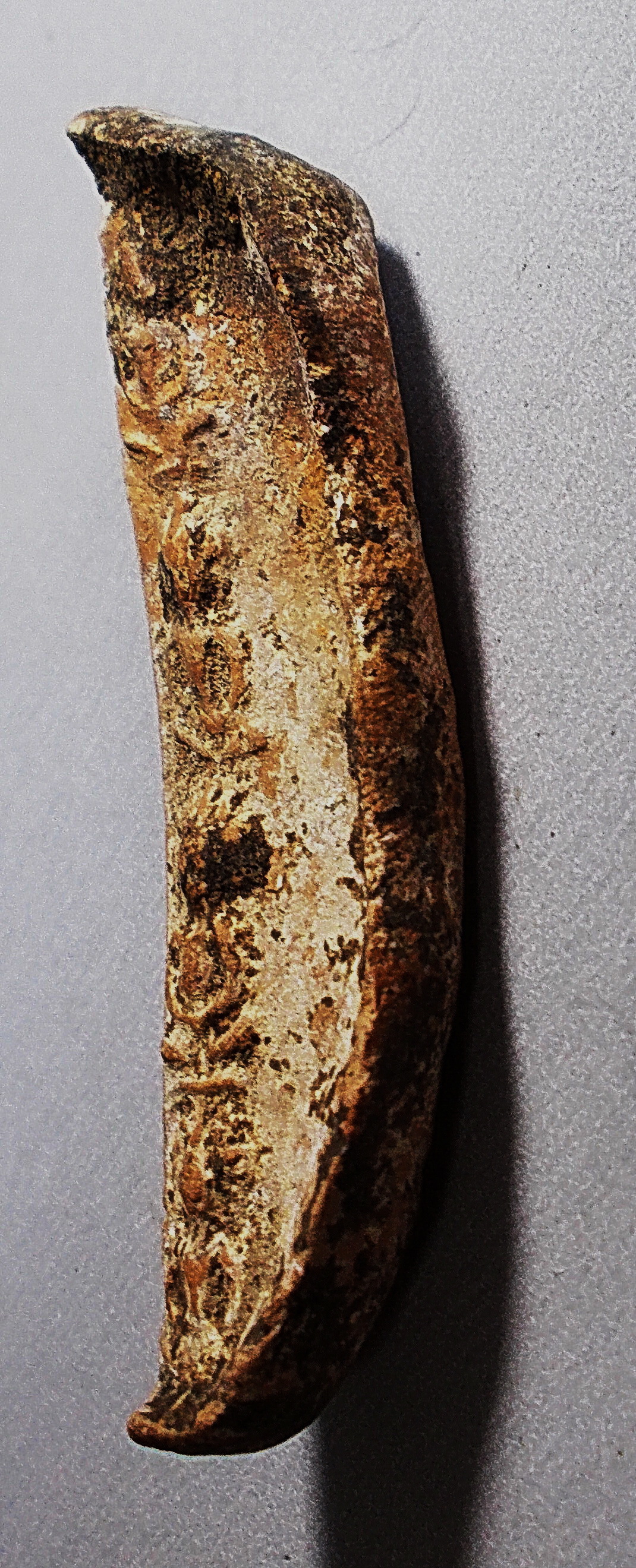 พระแผงตัด กรุพระธาตุนาดูน มหาสารคาม ตัดสี่องค์