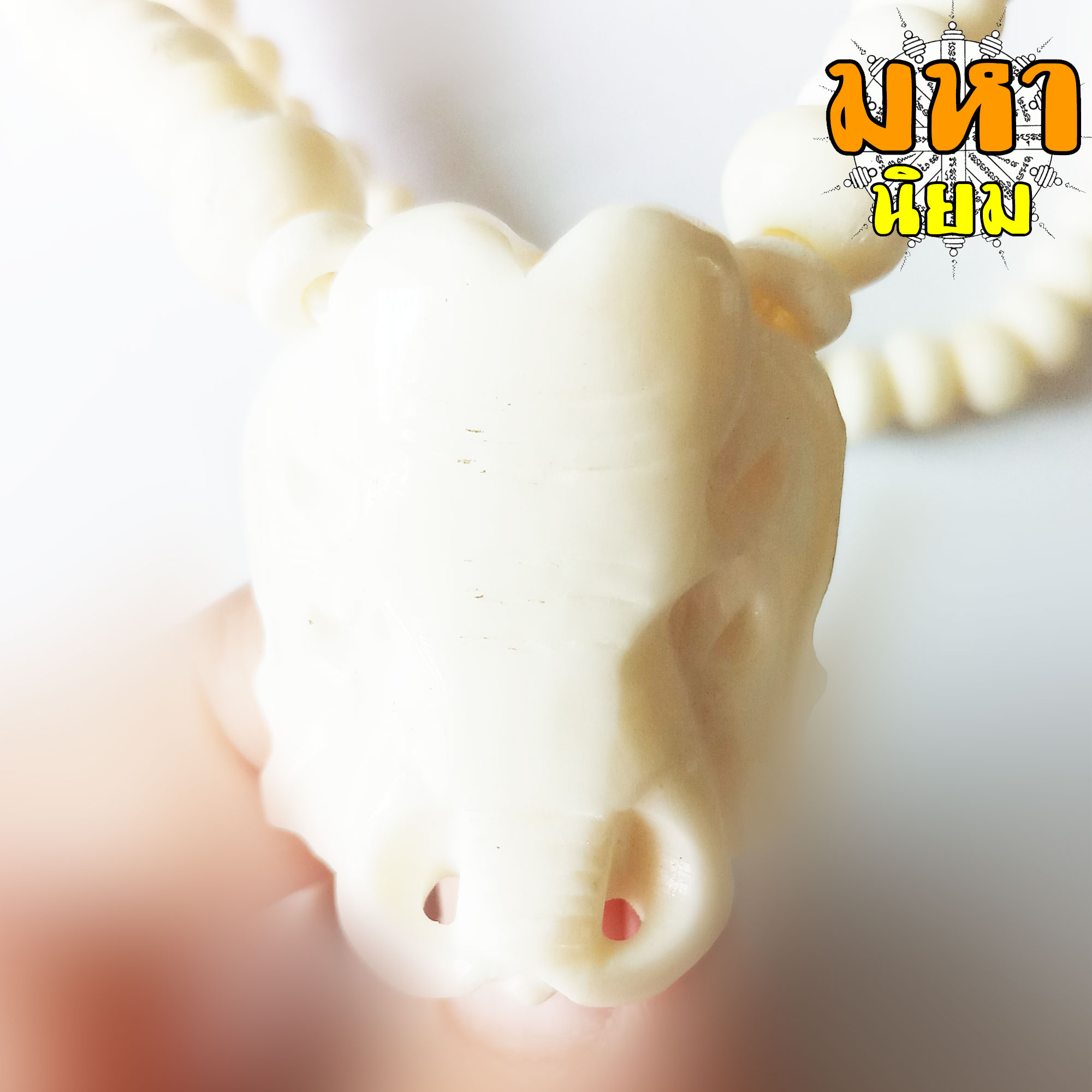 สร้อยคอ กระดูกช้าง ห่วงห้อยพระ 1 ห่วง หมู่บ้านช้าง จ.สุรินทร์