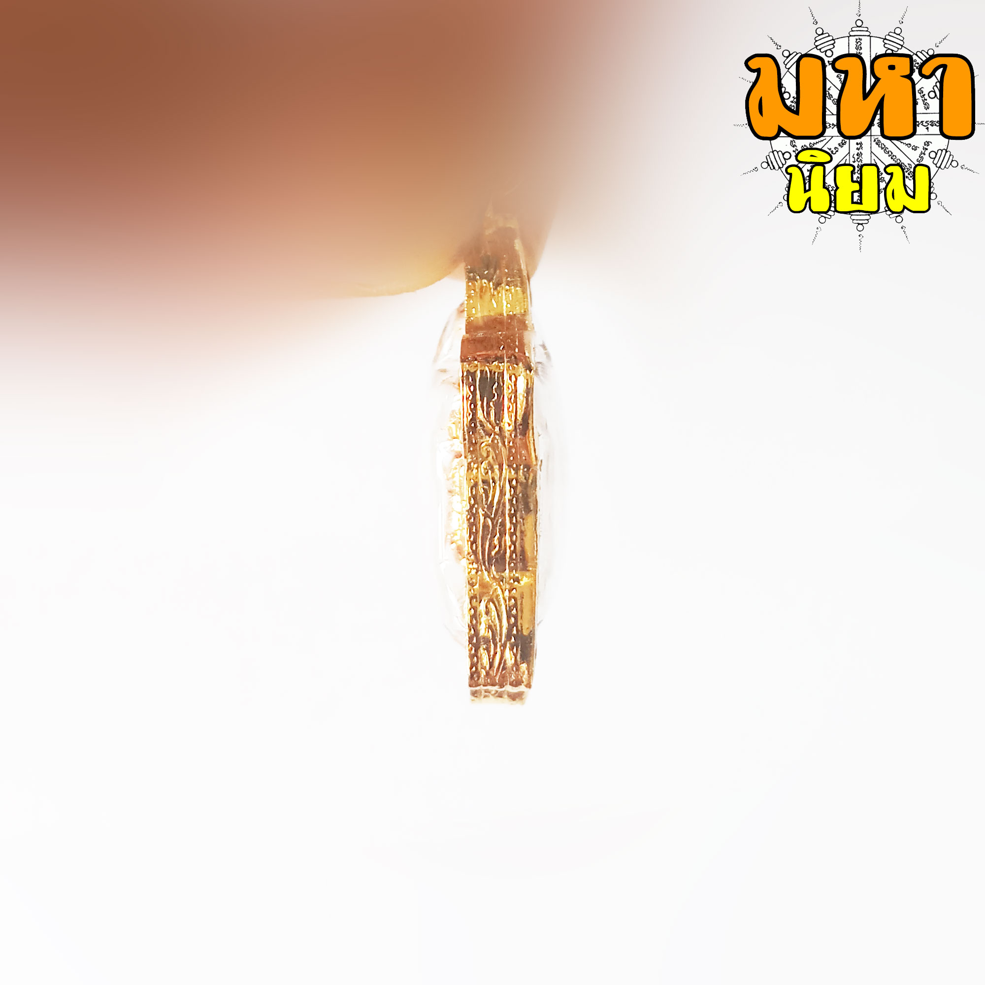 พญาเต่าเรือน ไตรมาส (องค์เล็ก) หลวงปู่หลิว ปณฺณโก วัดไร่แตงทอง เลี่ยมกรอบอย่างดี