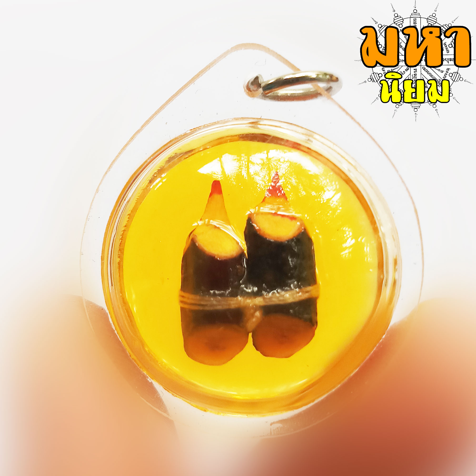 สาริกาลิ้นทอง แช่น้ำมันมนต์ เลี่ยมกรอบอย่างดี