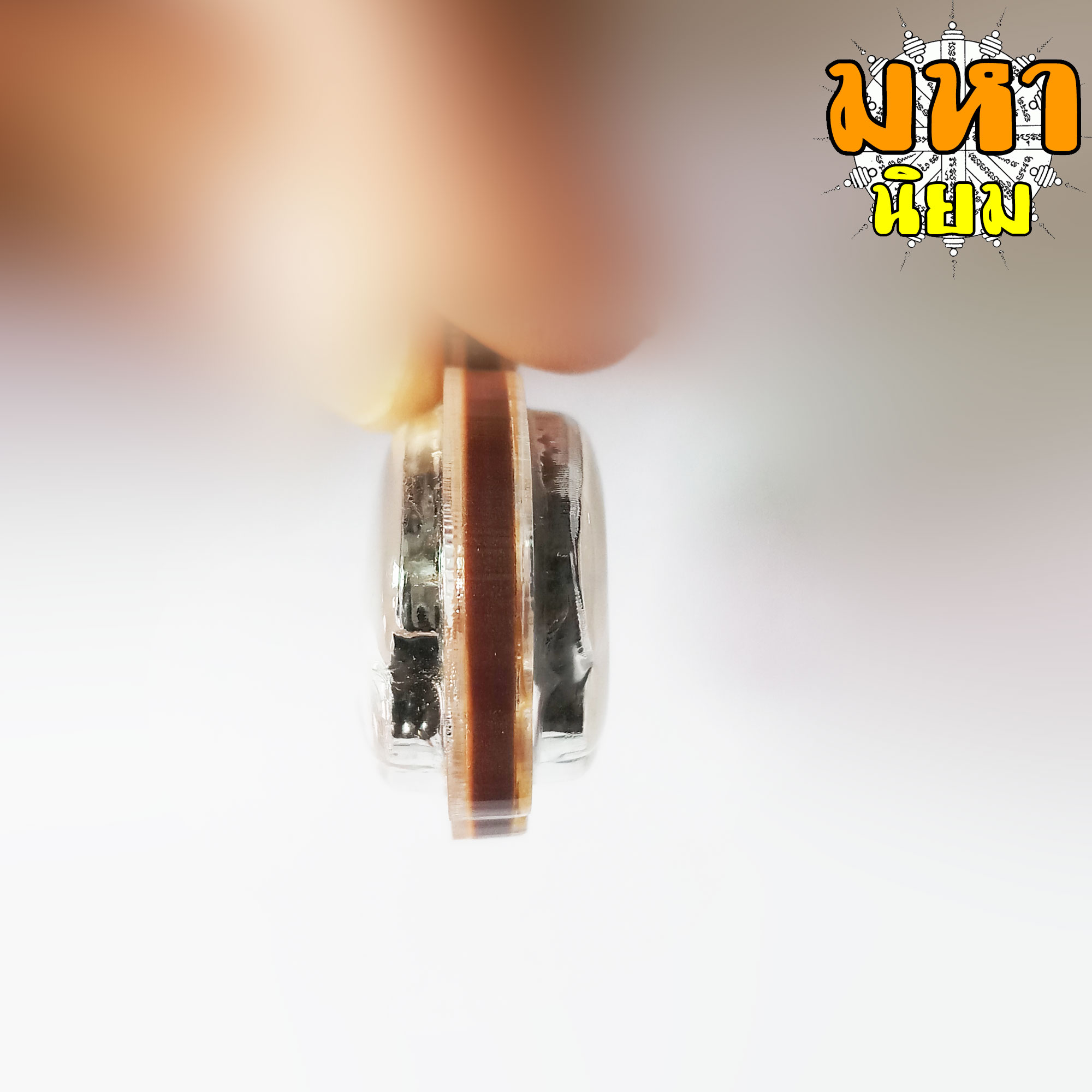 เสือเขาอ้อ พยัคฆ์ราชพุทธาคมเขาอ้อ วัดภูเขาทอง จ.พัทลุง เนื้อนวะโลหะ เลี่ยมกรอบอย่างดี