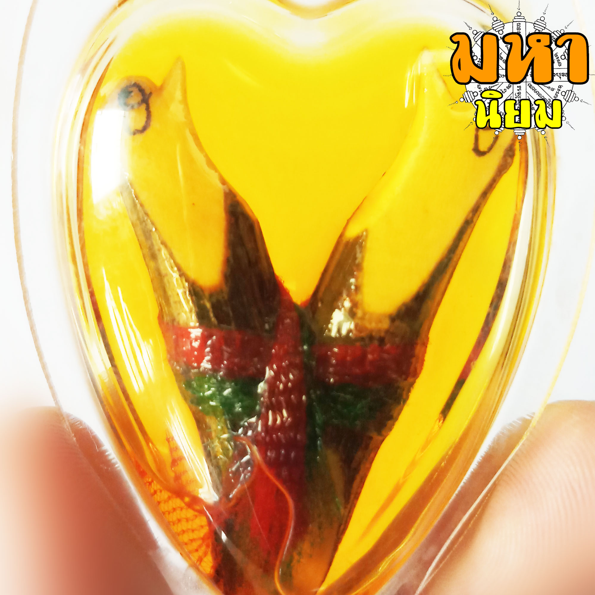 สาริกาลิ้นทอง (องค์ใหญ่) แช่น้ำมัน เลี่ยมกรอบอย่างดี