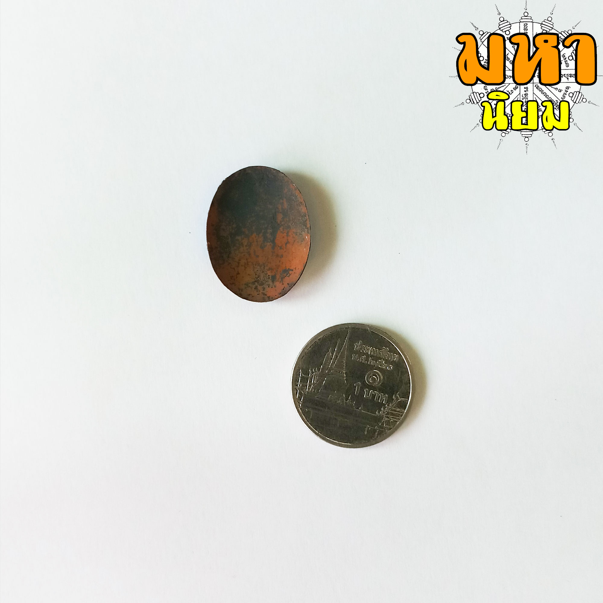 ล็อกเก็ตหลวงพ่อรวย หลังเปลือย วัดตะโก จ.อยุธยา พร้อมกล่อง