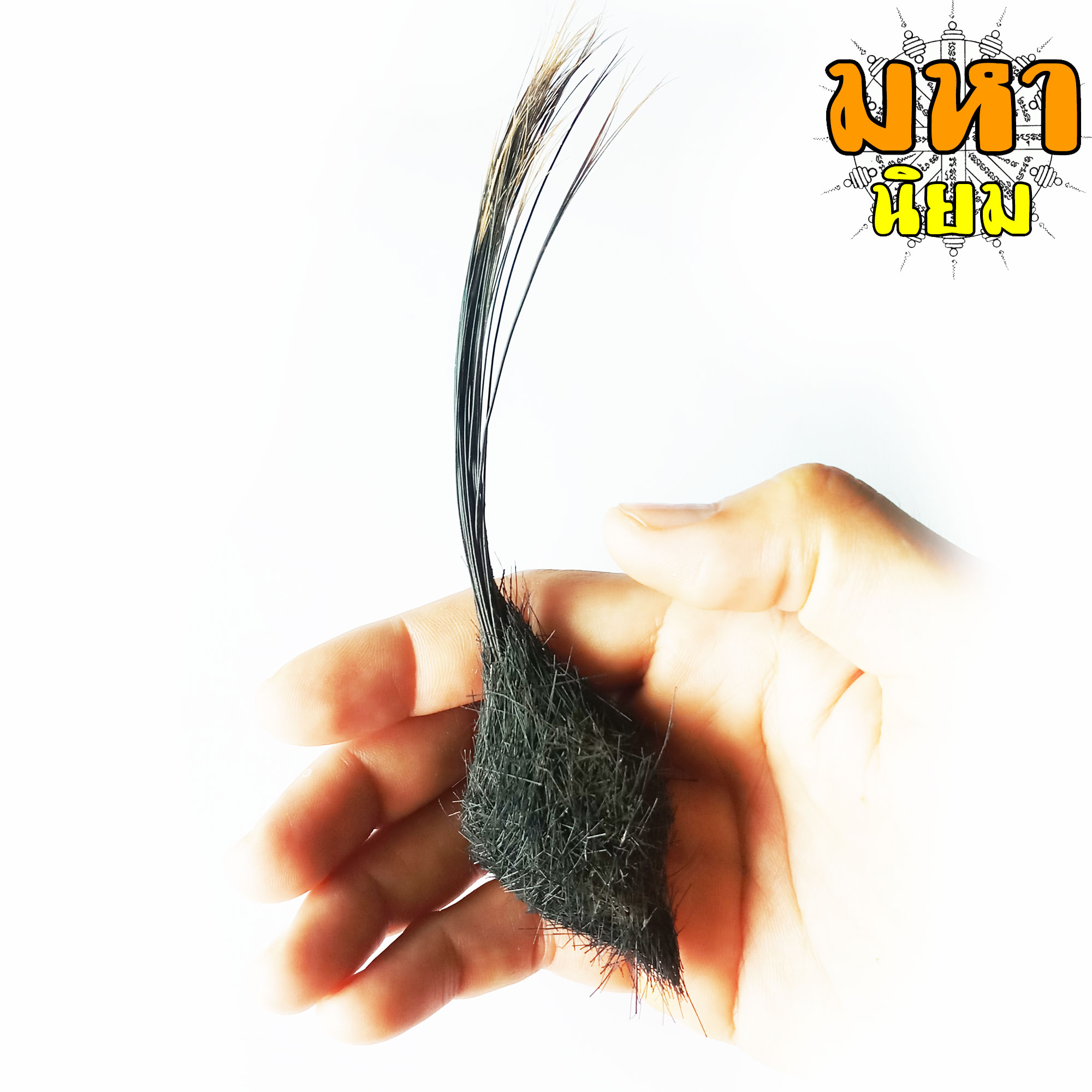 ช้องหมูป่า โปรดใช้วิจารณญาณ (ไม่สามารถเปิดเผยแหล่งที่มาได้)