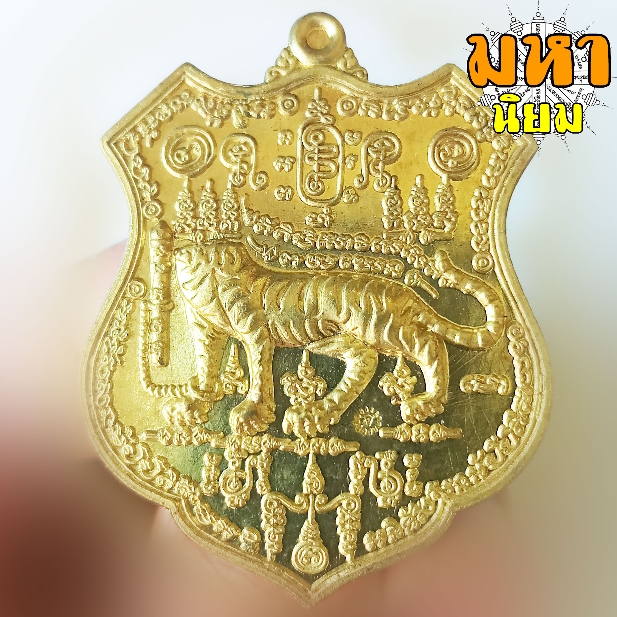 เหรียญเสือหัวขาดตัวหนึ่ง หลวงพ่อไฉน ฉนฺทสาโร จ.ขอนแก่น พร้อมกล่องอย่างดี