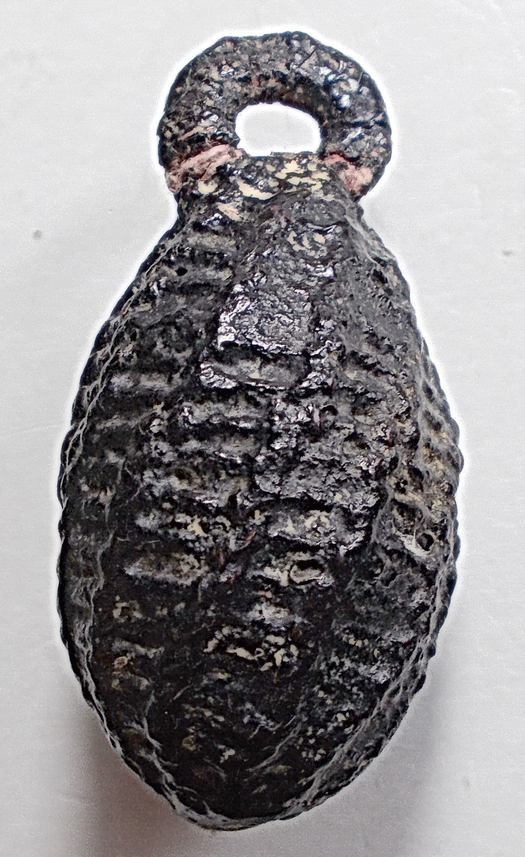 หมากทุย ลป.เอี่ยม วัดหนัง #lnw371