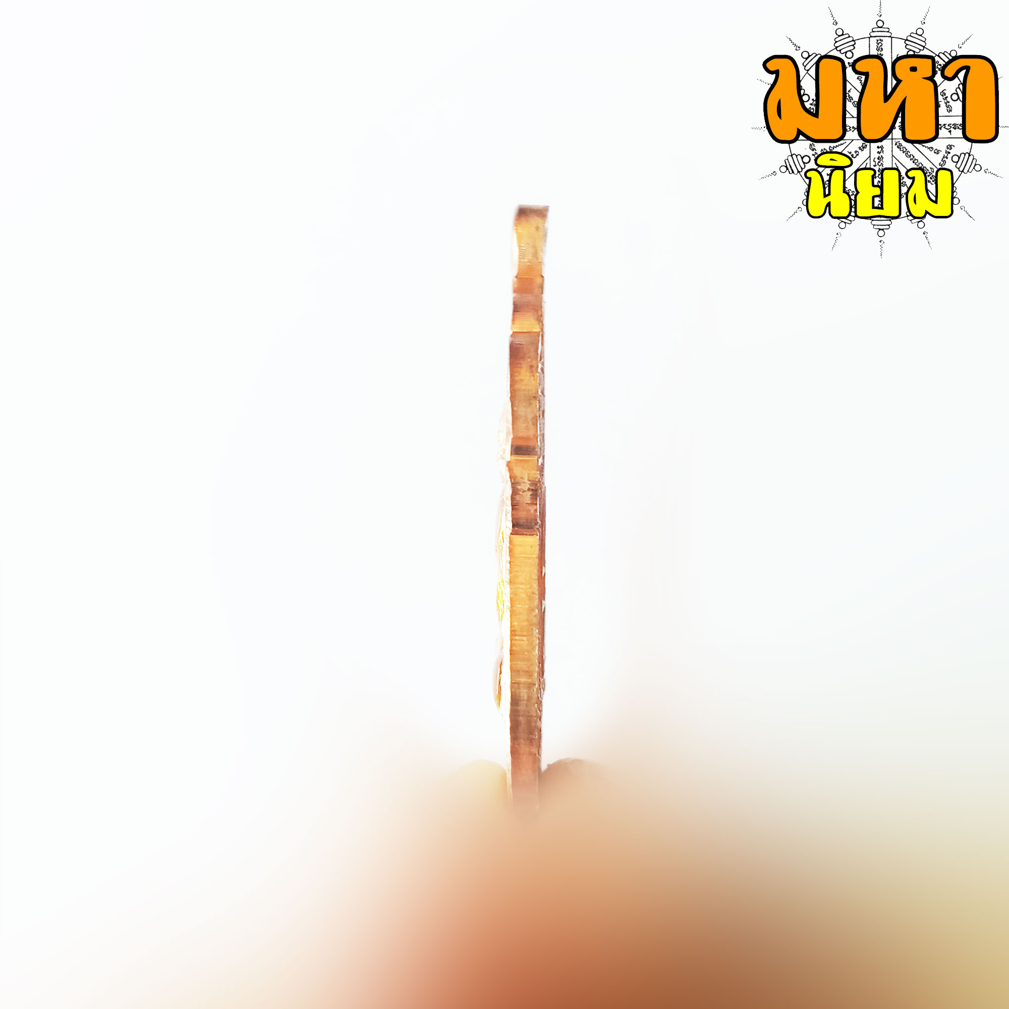 เหรียญไตรมาส 59 รวย รวย รวย เนื้อทองแดงลงยา หลวงพ่อรวย ปาสาทิโก วัดตะโก จ.อยุธยา พร้อมกล่องอย่างดี