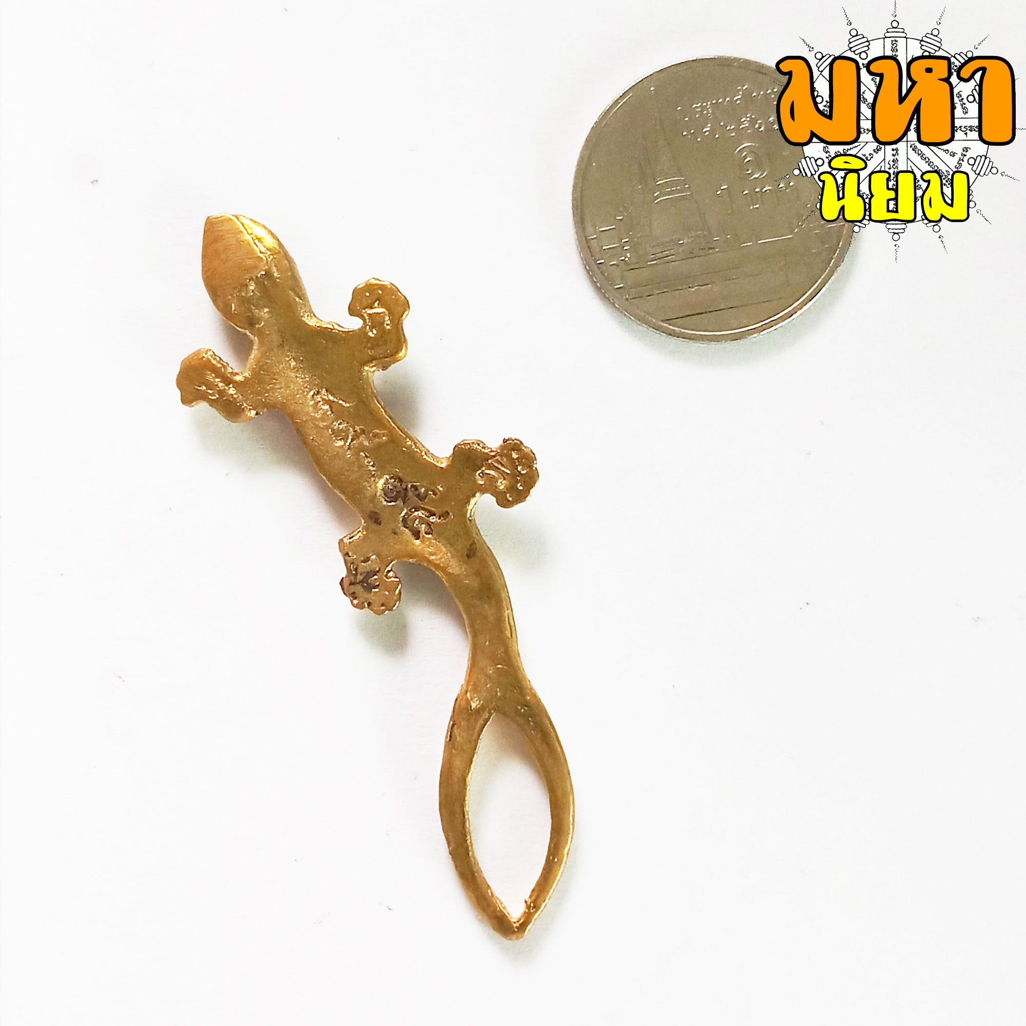 จิ้งจก สองหาง หลวงพ่อจ้อย วัดศรีอุทุมพร จ.นครสวรรค์