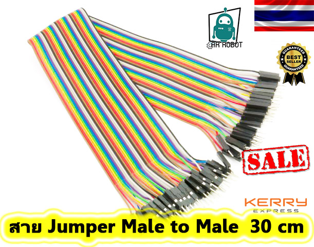 สาย Jumper Male to Male ความยาว 30 cm