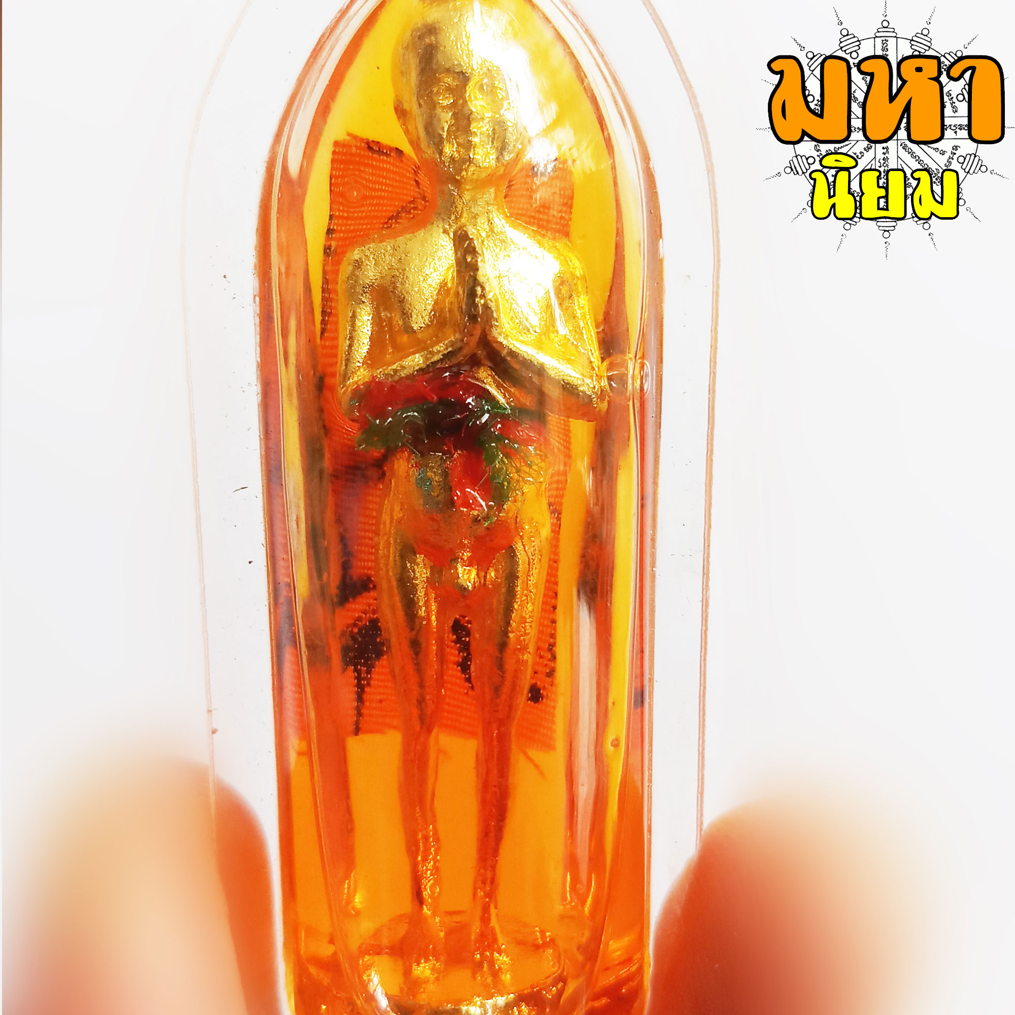 ไอ้ไข่ เด็กวัดเจดีย์ แช่น้ำมัน วัดวัดเจดีย์ จ.นครศรีธรรมราช