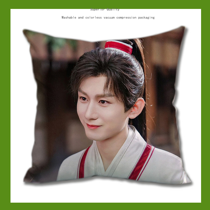 Pre - หมอนลายเฉิงอี้ ChengYi 40 cm หมอนดารา