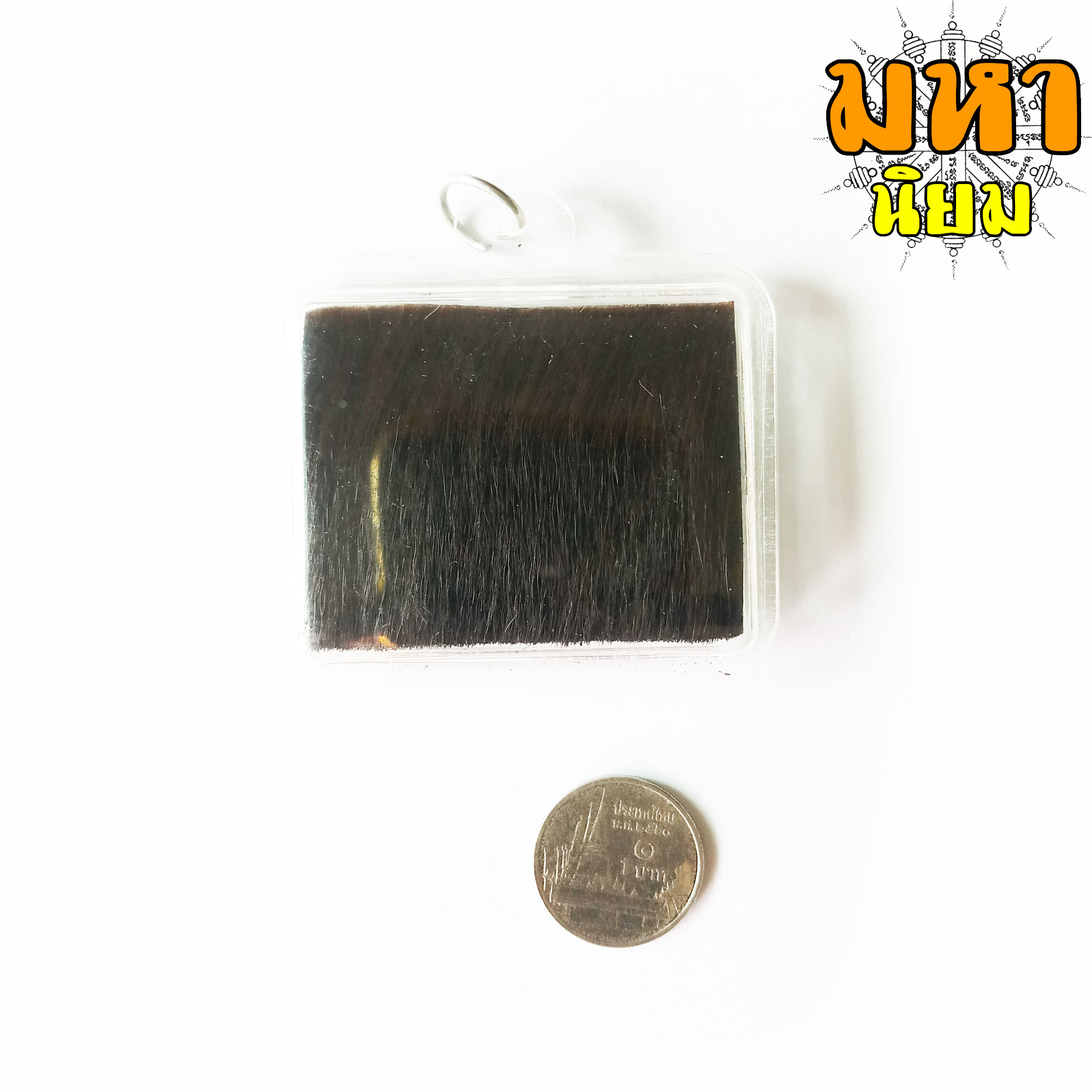 แผ่นหนังเสือ (เสือไฟ) ลงหมึกจารกำกับ ฤาษีเดินดง หลวงพ่อเปิ่น วัดบางพระ จ.นครปฐม เลี่ยมกรอบอย่างดี