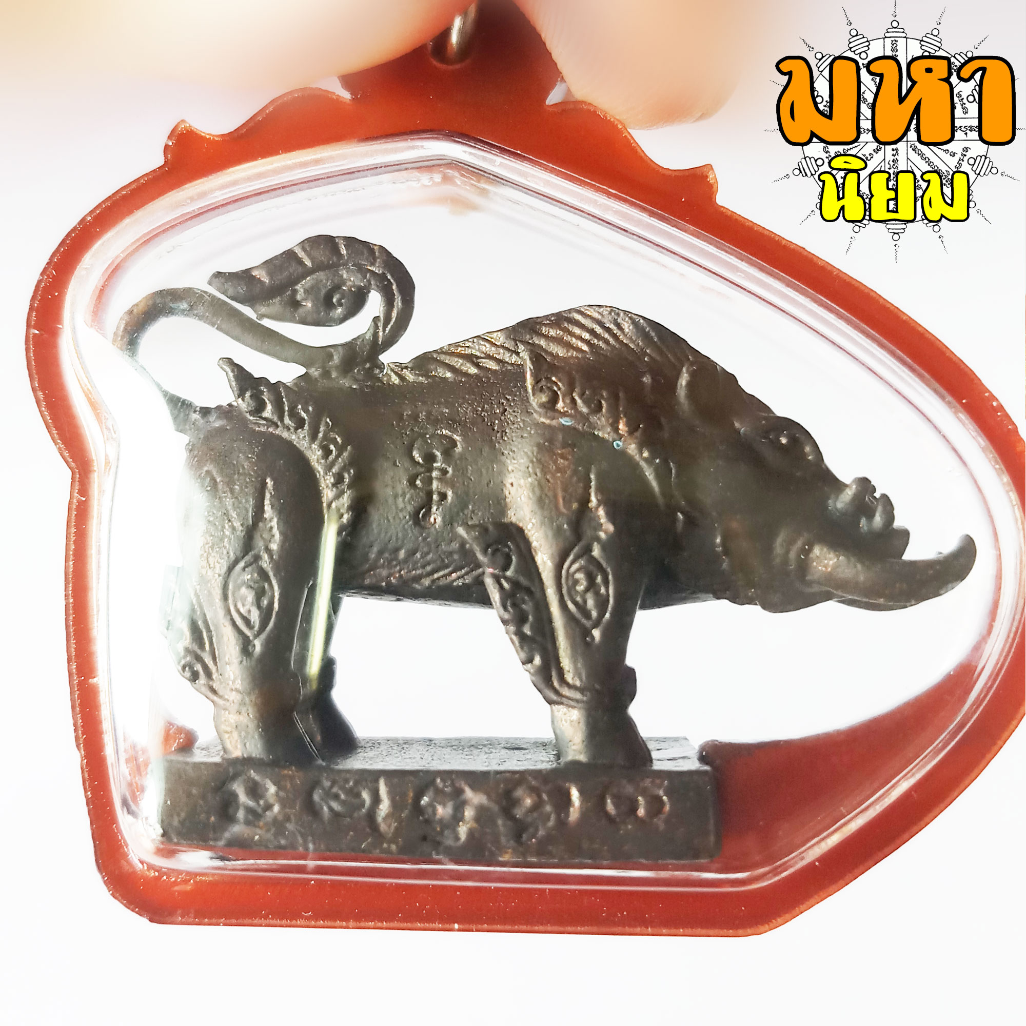 พญาหมูเขี้ยวเพชร หลวงปู่กาหลง เขี้ยวแก้ว วัดเขาแหลม จ.สระแก้ว