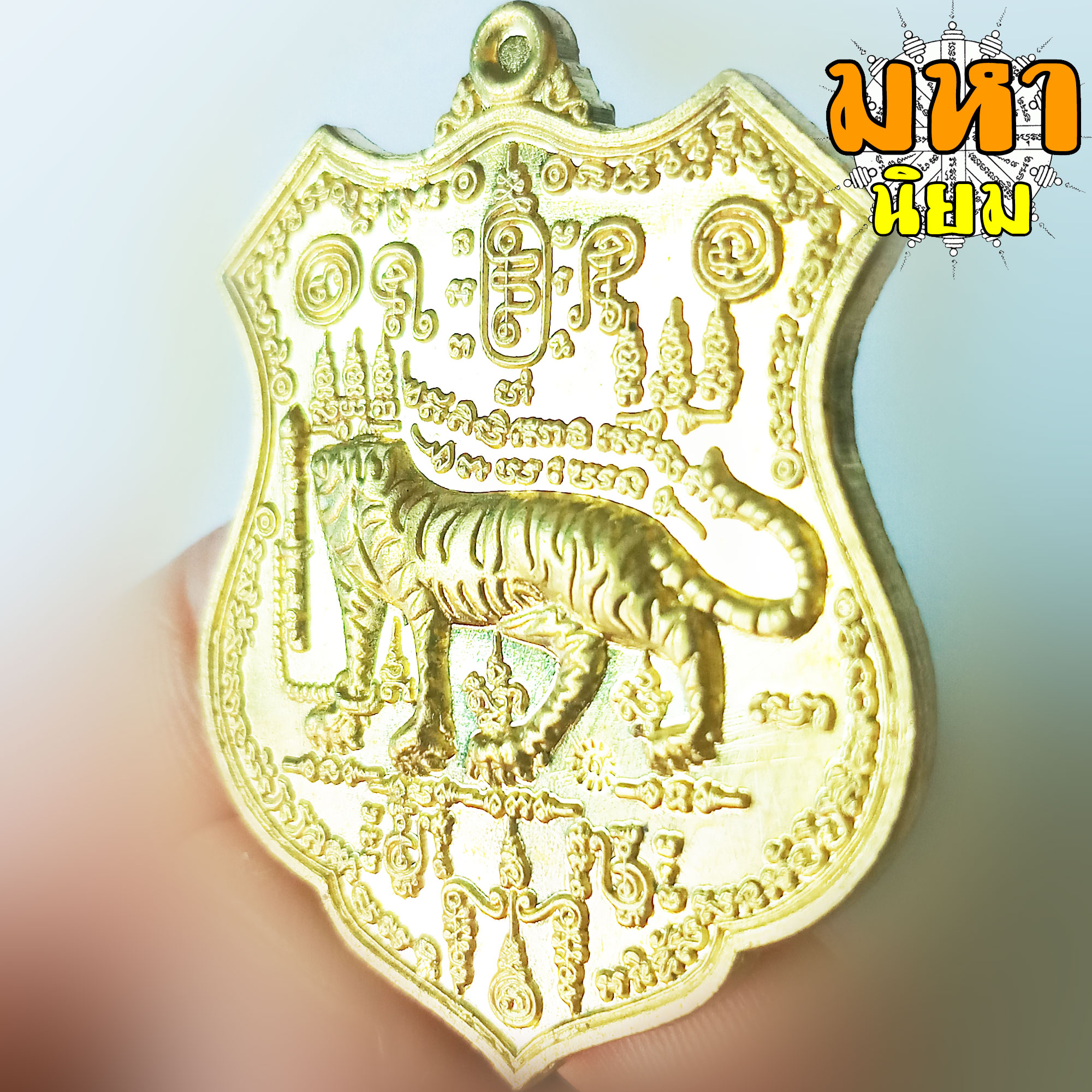 เหรียญเสือหัวขาดตัวหนึ่ง หลวงพ่อไฉน ฉนฺทสาโร จ.ขอนแก่น พร้อมกล่องอย่างดี