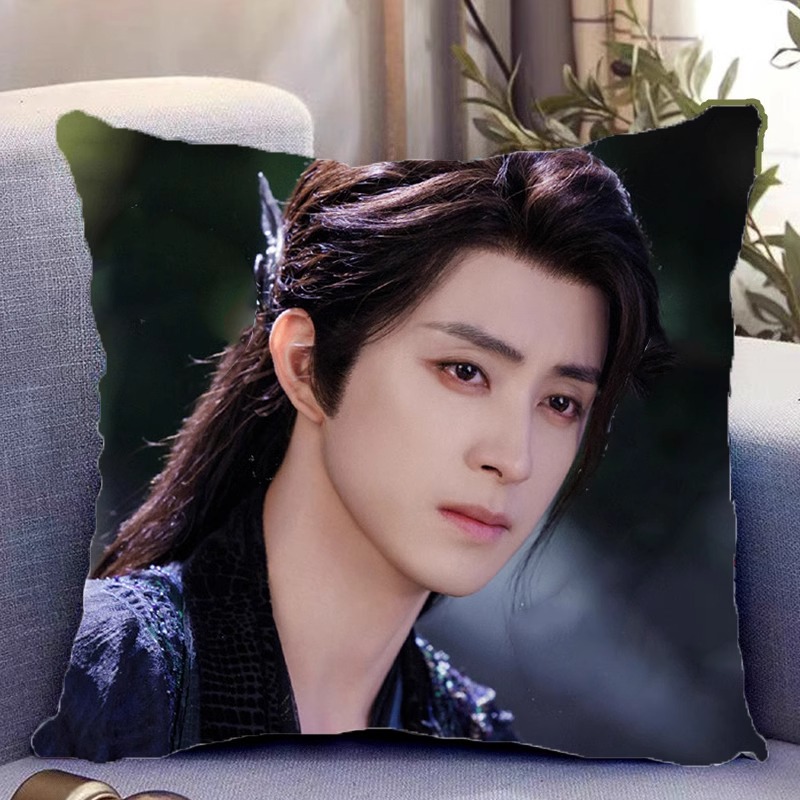 Pre - หมอนลายตํานานรักสวรรค์จันทรา(ไม่ใช่สินค้าอฟช.) 40 cm/AoRuipeng ไป๋ซั่ว ฟ่านเยว่