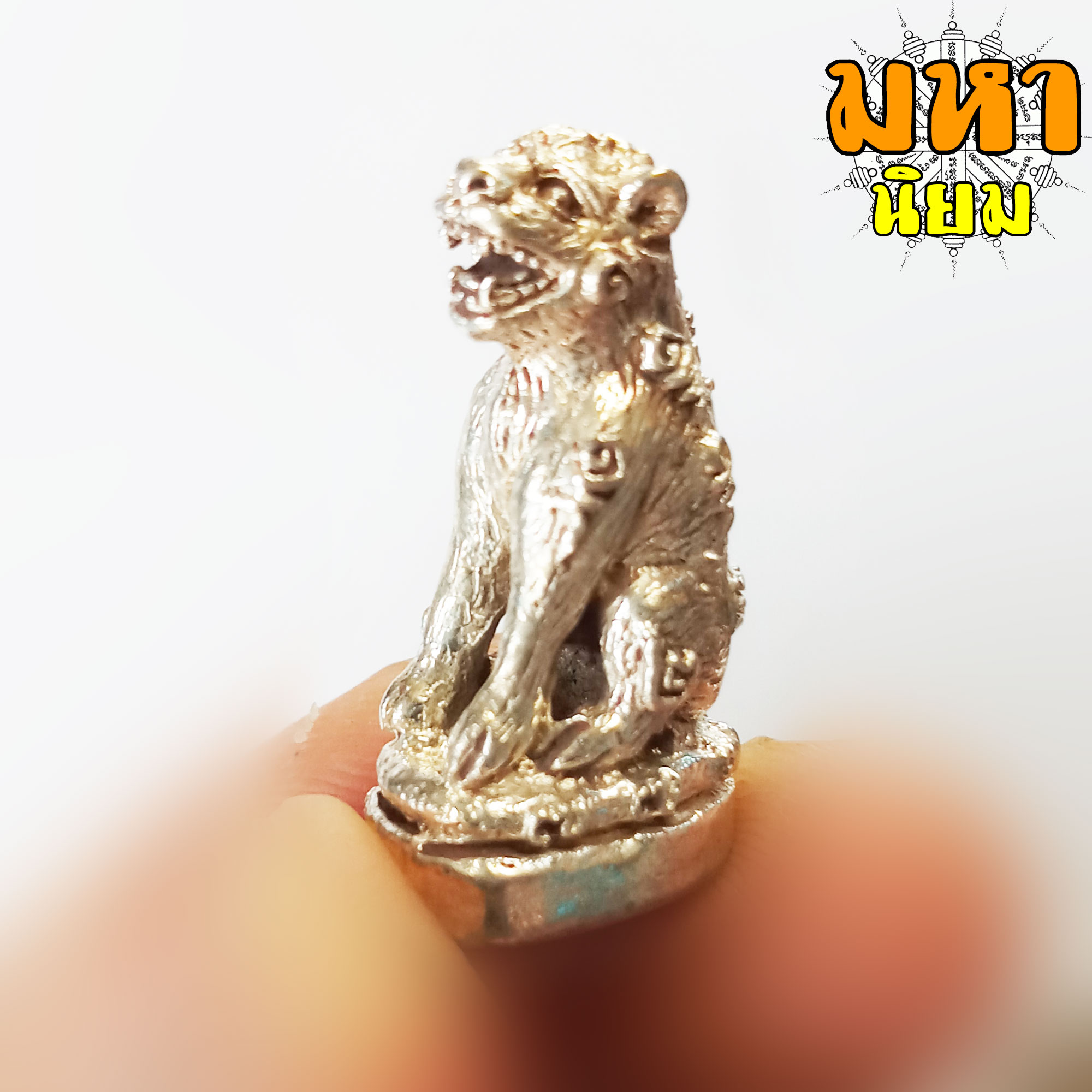 เสือหลวงพ่อปาน วัดคลองด่าน จ.สมุทรปราการ