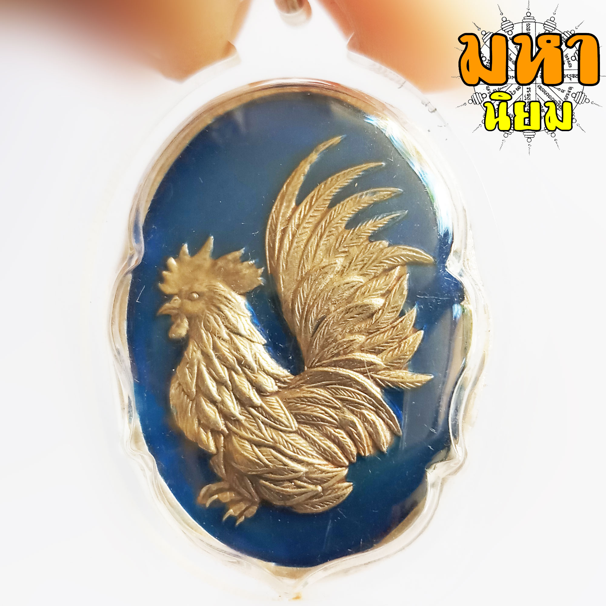 เหรียญไก่คู่บารมี เนื้ออัลปาก้าลงยา หลวงปู่สรวง วรสุทฺโธ วัดถ้ำพรหมสวัสดิ์ จ.ลพบุรี เลี่ยมกรอบอย่างดี