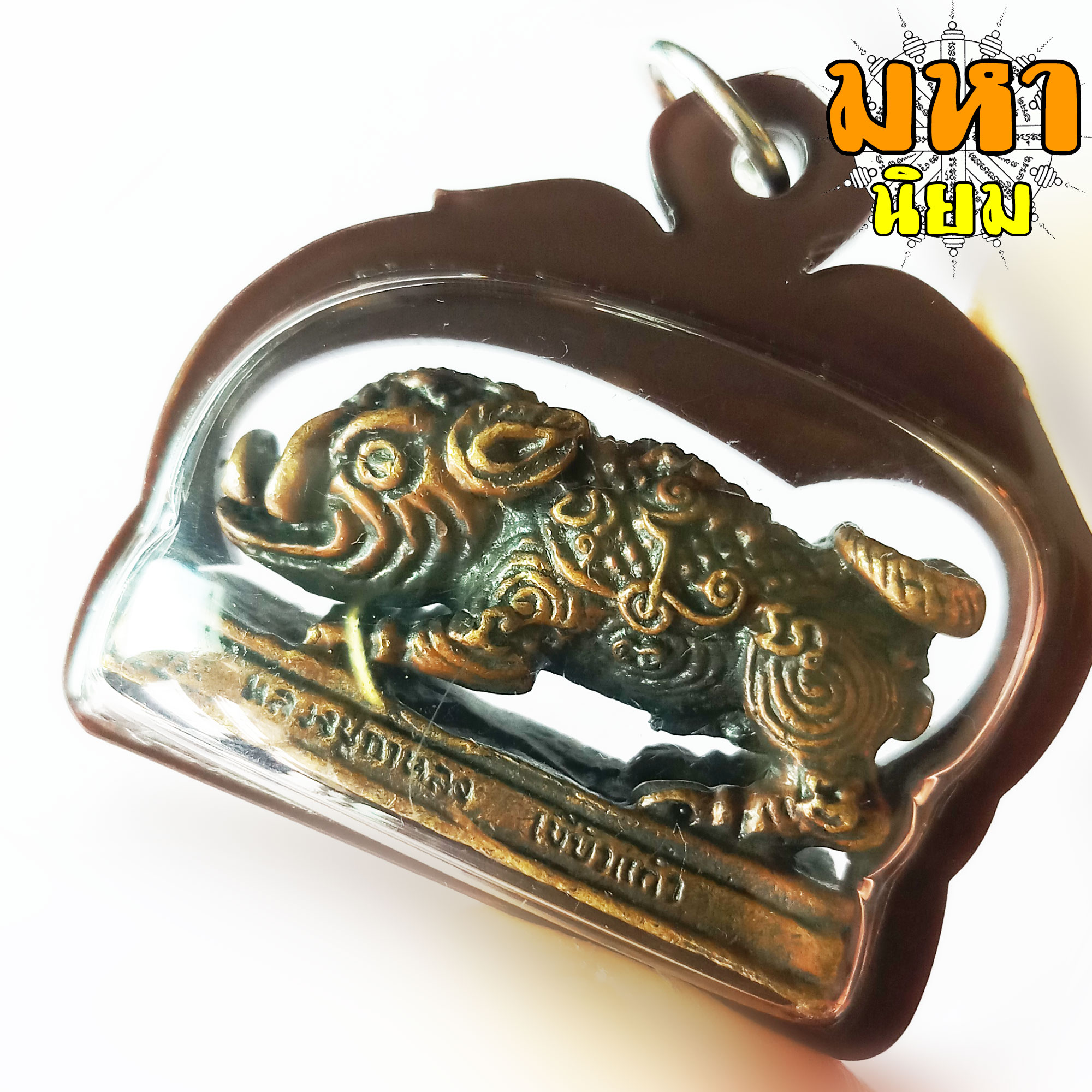 พญาหมู พลิกแผ่นดิน หลวงปู่กาหลง เขี้ยวแก้ว วัดเขาแหลม จ.สระแก้ว