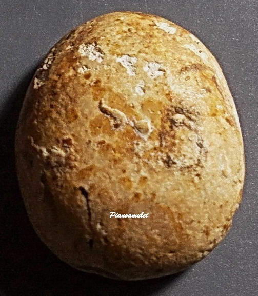 พระเม็ดบัว เนื้อผงน้ำมัน กรุวัดอัมพวา