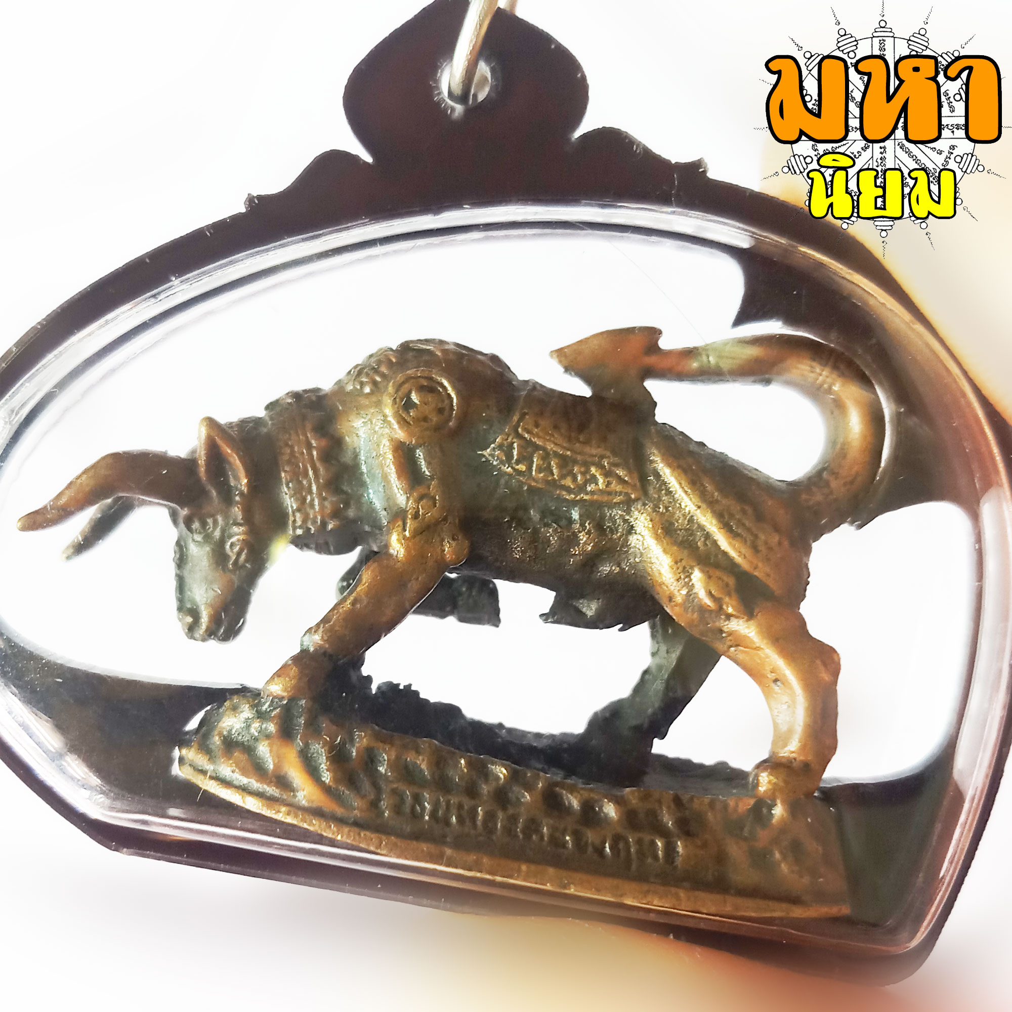 วัวธนูทอง คะนองฤทธิ์ หลวงปู่กาหลง วัดเขาแหลม จ.สระแก้ว