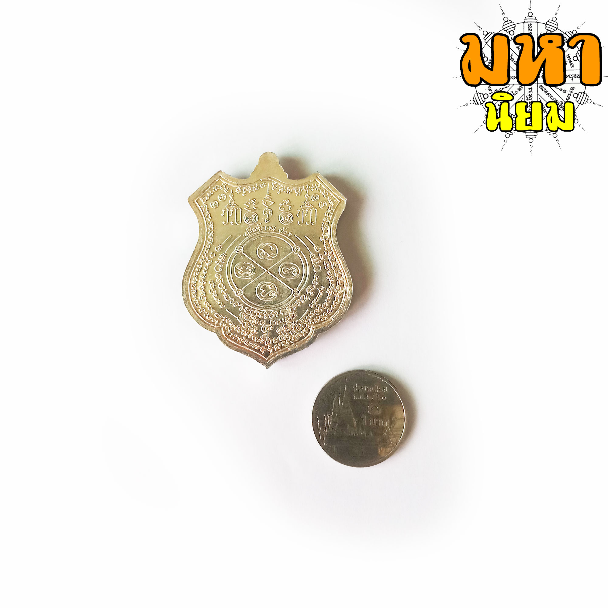 เหรียญเสือหัวขาดตัวหนึ่ง หลวงพ่อไฉน ฉนฺทสาโร จ.ขอนแก่น เนื้อลงยาสี พร้อมกล่องอย่างดี