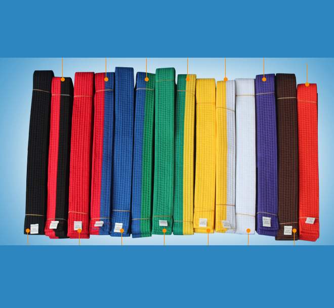 (พรีออเดอร์) สายเทควันโด Taekwondo TCD10011-2P สีทรูโทน