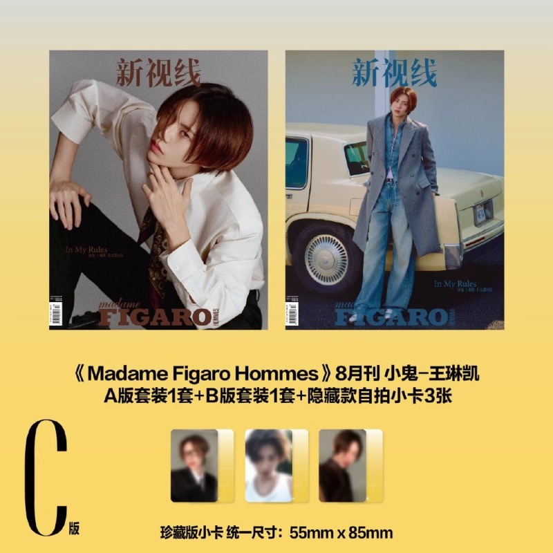 นิตยสาร Madame Figaro Hommes หวังหลินข่าย WangLinkai 王琳凯 2025+ การ์ด