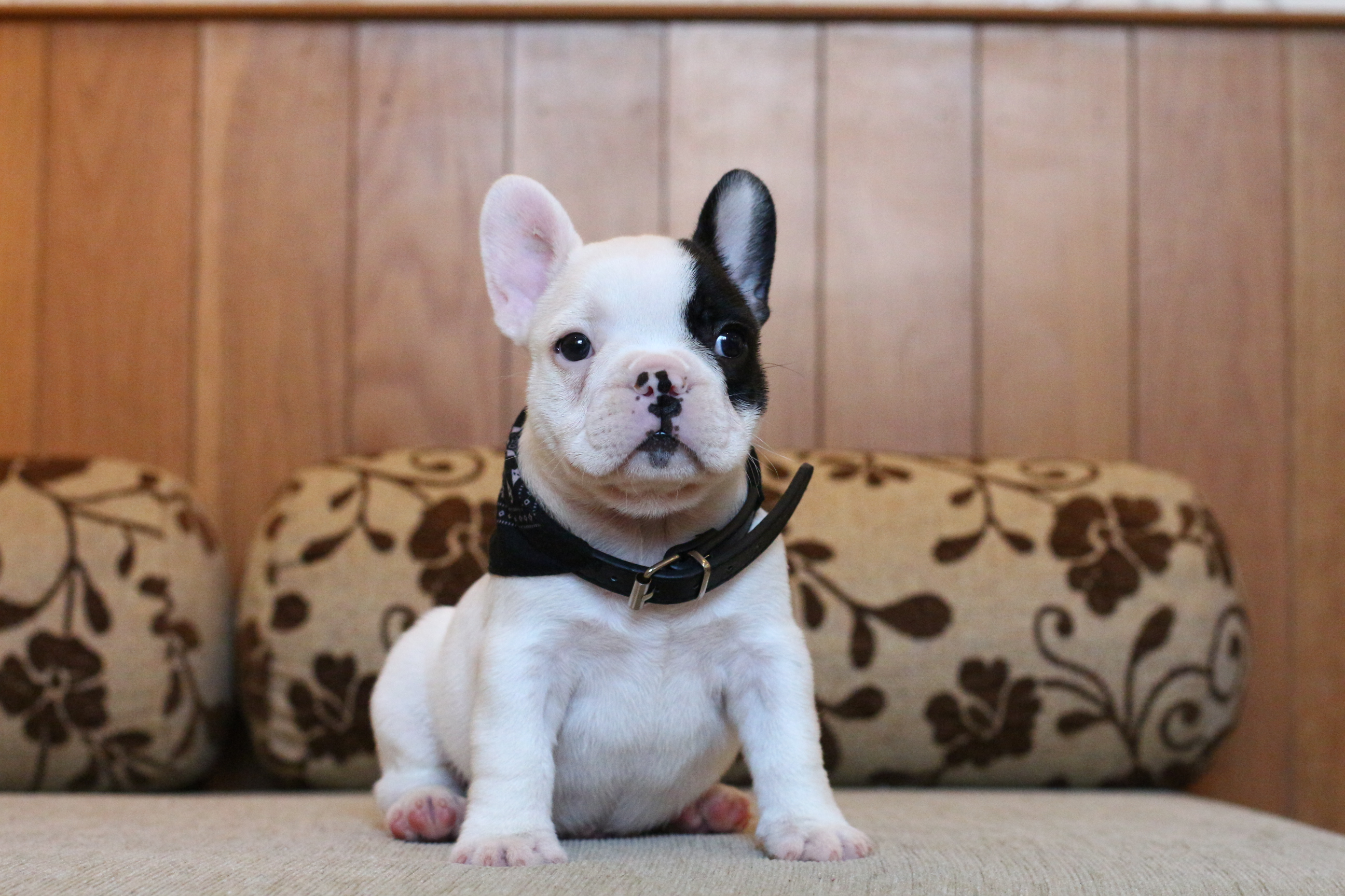 เด็กชายกันดั้ม หน้าตาเท่ห์ๆ โครงสร้างสวยๆ