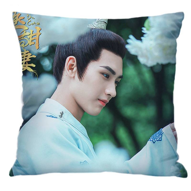 Pre - หมอนลายหมอหญิงสุดคิ้วท์ หวงจวิ้นเจี๋ย ซุนเชียน