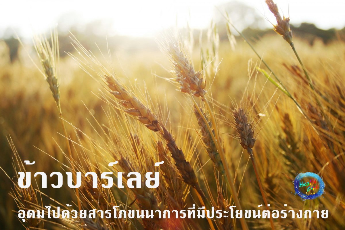 ข้าวบาร์เลย์อุดมไปด้วยสารโภชนาการที่มีประโยชน์ต่อร่างกาย เช่น เส้นใยอาหาร โปรตีน คาร์โบไฮเดรต เบต้ากลูแคน เพนโทแซนส์ เซลลูโลส กรดอะมิโนจำเป็น วิตามินบี ธาตุเหล็ก สังกะสี ทองแดง แมกนีเซียม ซิลิเนียม โครเมียม สารชีวภาพโทโคไตรอีนอล ลิกแนน ไฟโตอีสโตรเจน ฟีนอล กรดไฟติก เป็นต้น นอกจากนี้ ข้าวบาร์เลย์ยังเป็นแหล่งของน้ำตาลมอลโทสซึ่งเป็นสารให้ความหวานตามธรรมชาติ จึงมีการนำข้าวบาร์เลย์ไปบริโภคในหลากหลายรูปแบบ เช่น ซีเรียล แป้งจากข้าวบาร์เลย์ น้ำข้าวบาร์เลย์ หรือเบียร์จากข้าวบาร์เลย์ เป็นต้น