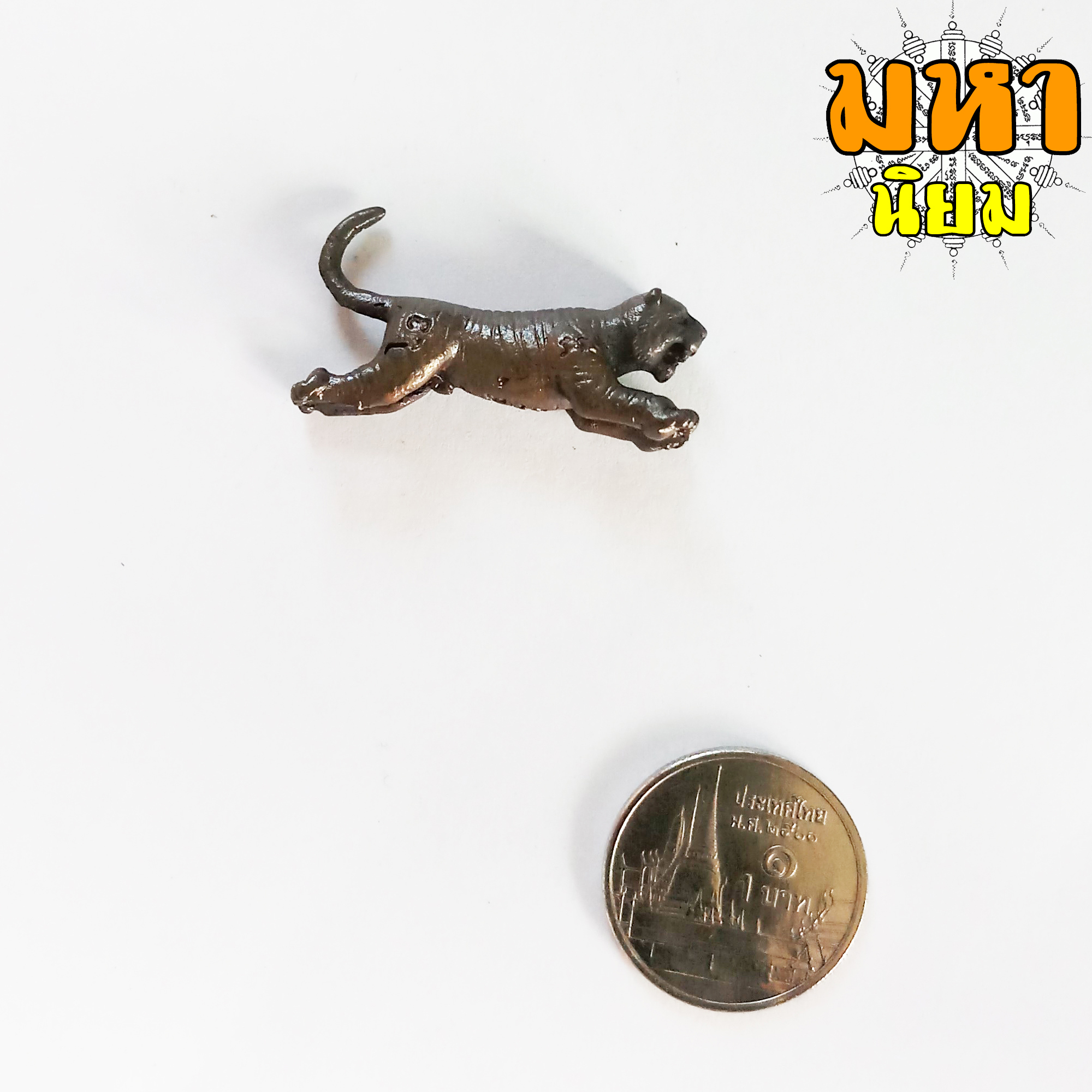 เสือเผ่น หลวงพ่อสุด วัดกาหลง ปลุกเสก สำนักสงฆ์แพรกกระทุ่ม จ.ฉะเชิงเทรา