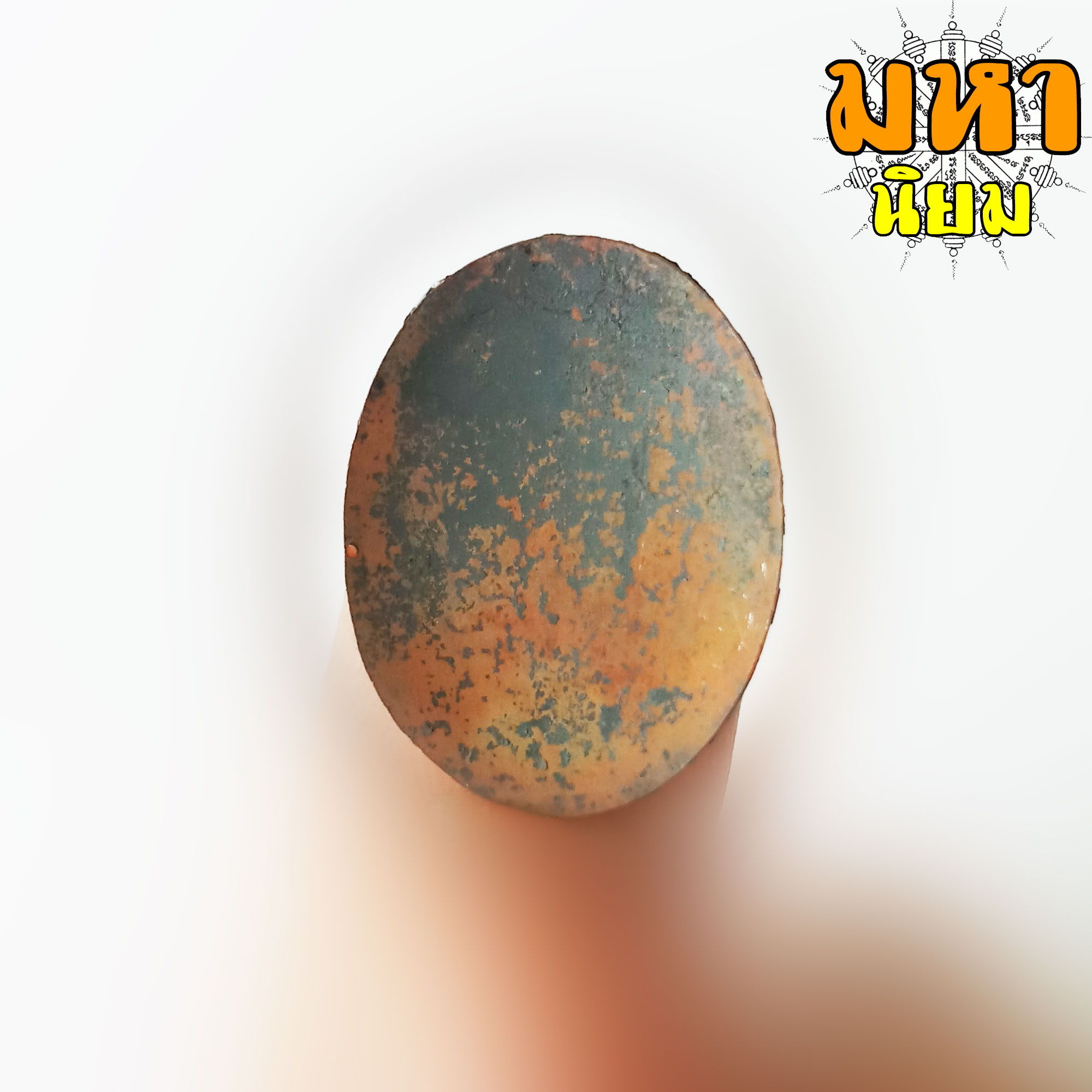 ล็อกเก็ตหลวงพ่อรวย หลังเปลือย วัดตะโก จ.อยุธยา พร้อมกล่อง