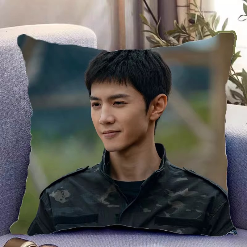 Pre - หมอนลาย ปลูกรักพักใจใต้ต้นมะกอกขาว TheWhiteOliveTree (ไม่ใช่สินค้าอฟช.) 35 cm/เฉินเจ๋อหย่วน/Guzicheng