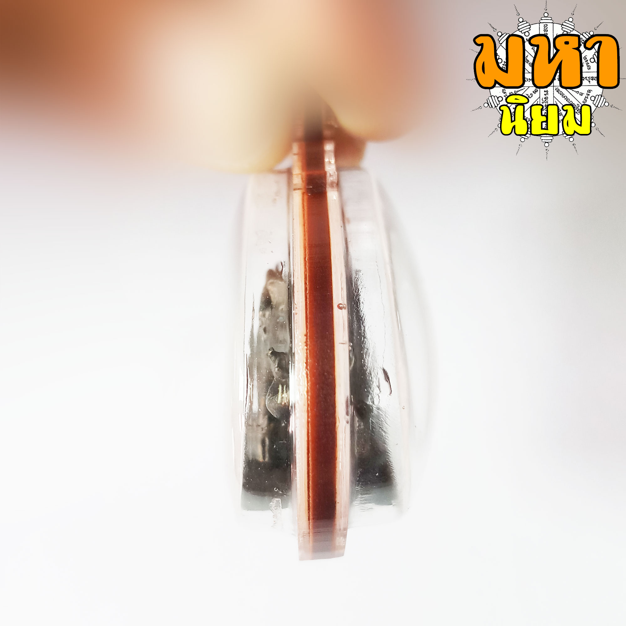 พญาหมูเขี้ยวเพชร หลวงปู่กาหลง เขี้ยวแก้ว วัดเขาแหลม จ.สระแก้ว