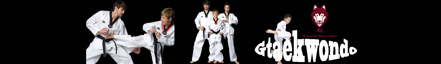 G TaekWonDo