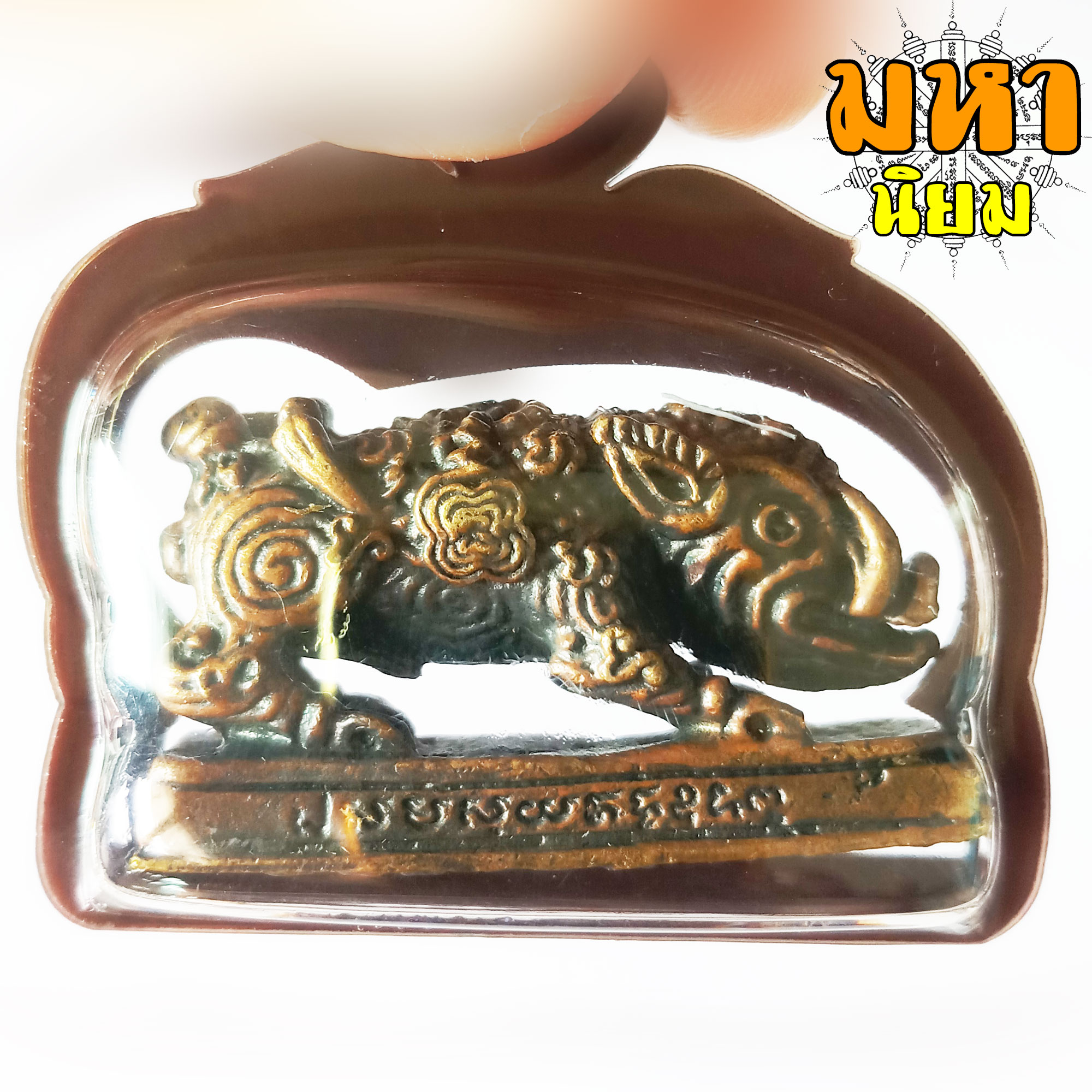 พญาหมู พลิกแผ่นดิน หลวงปู่กาหลง เขี้ยวแก้ว วัดเขาแหลม จ.สระแก้ว