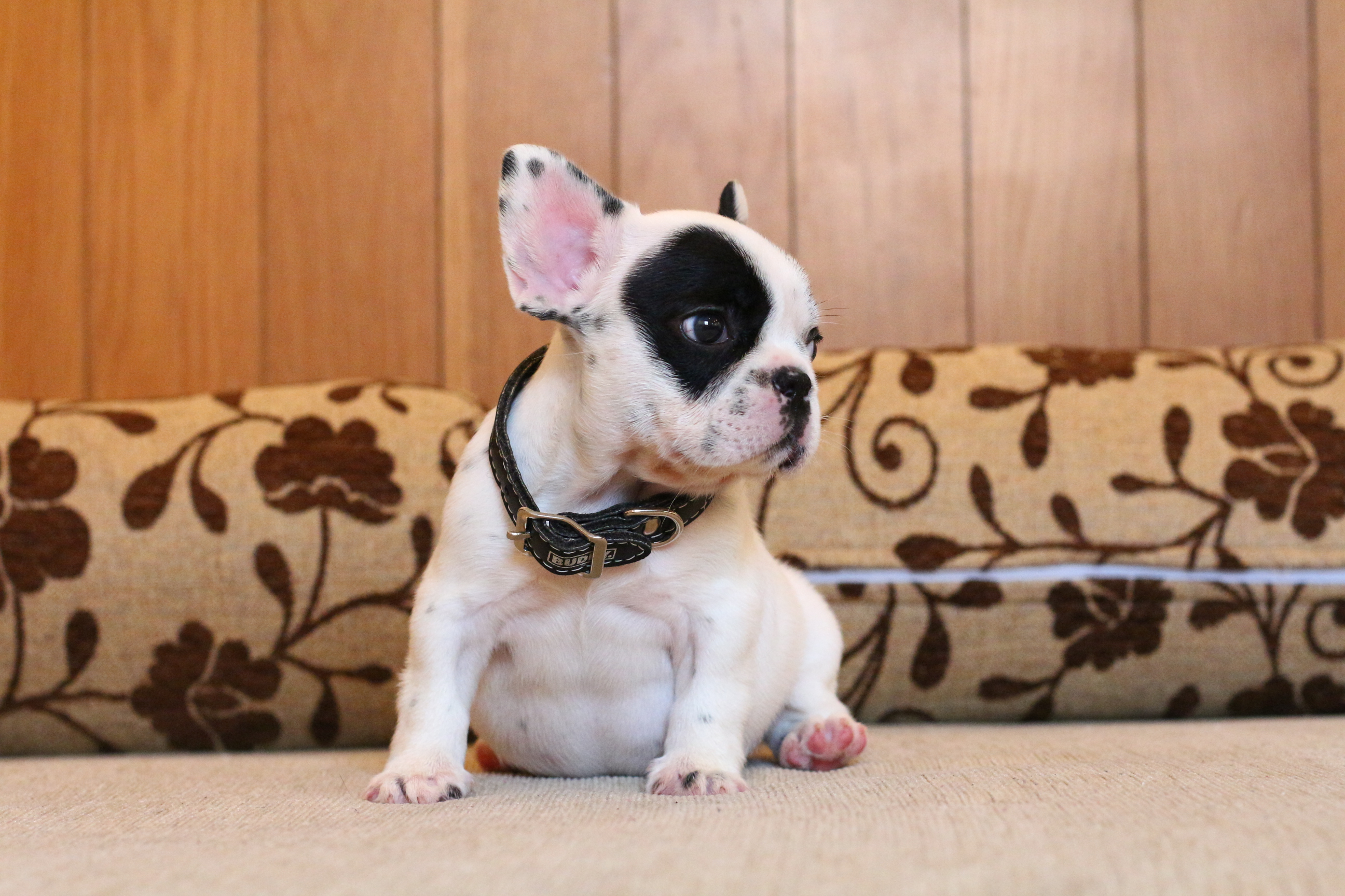 สาวน้อย หน้าตาน่ารักมาร์คกิ้งสวยๆ