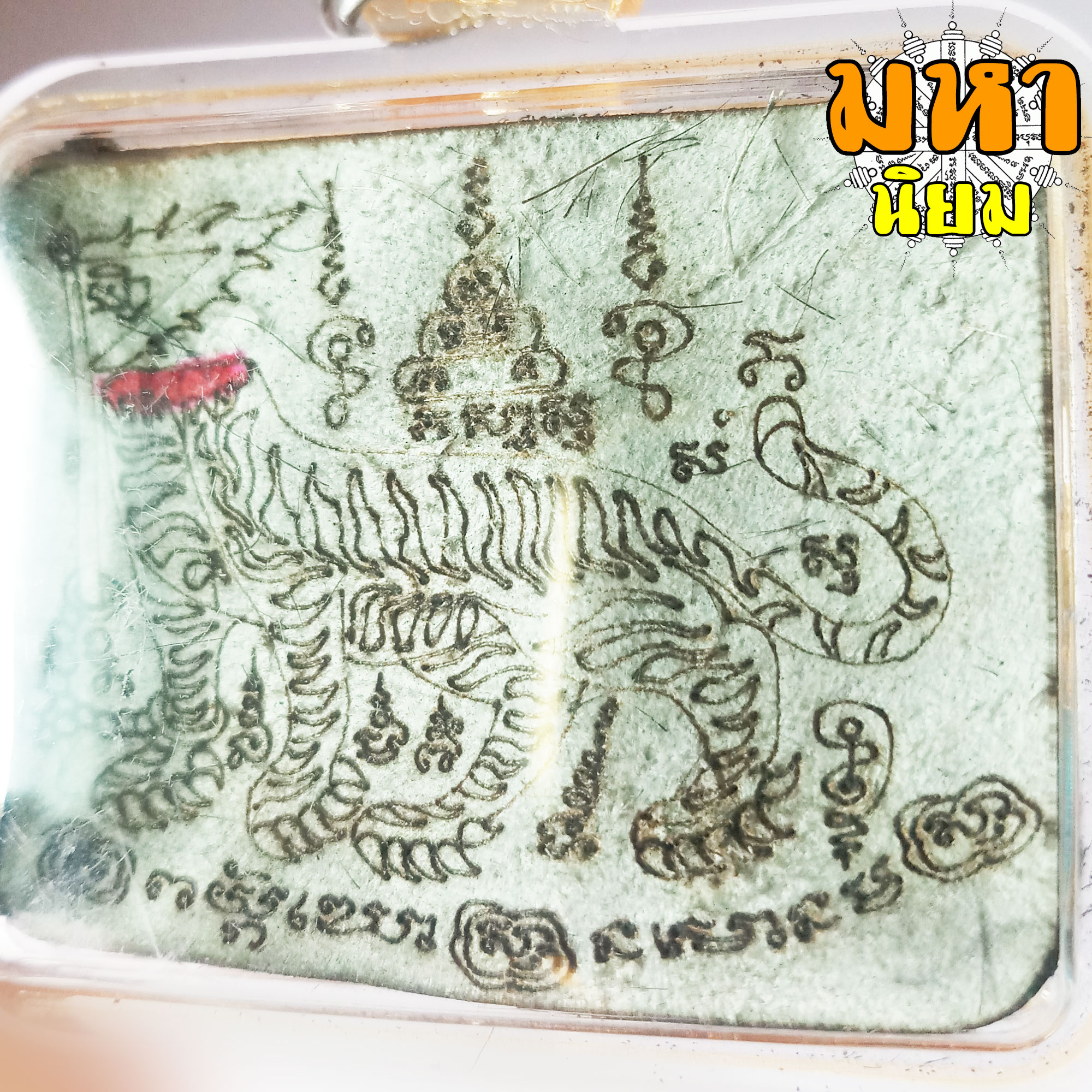 แผ่นหนังเสือ (เสือไฟ) ลงหมึกจารกำกับ ลายเสือหัวขาด หลวงพ่อไฉน วัดคุณากร จ.ขอนแก่น เลี่ยมกรอบอย่างดี