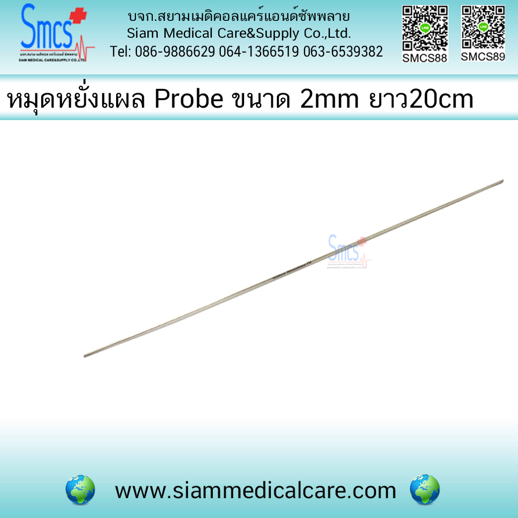 หมุดหยั่งแผล ( Probe) ขนาด 2mm 20cm.