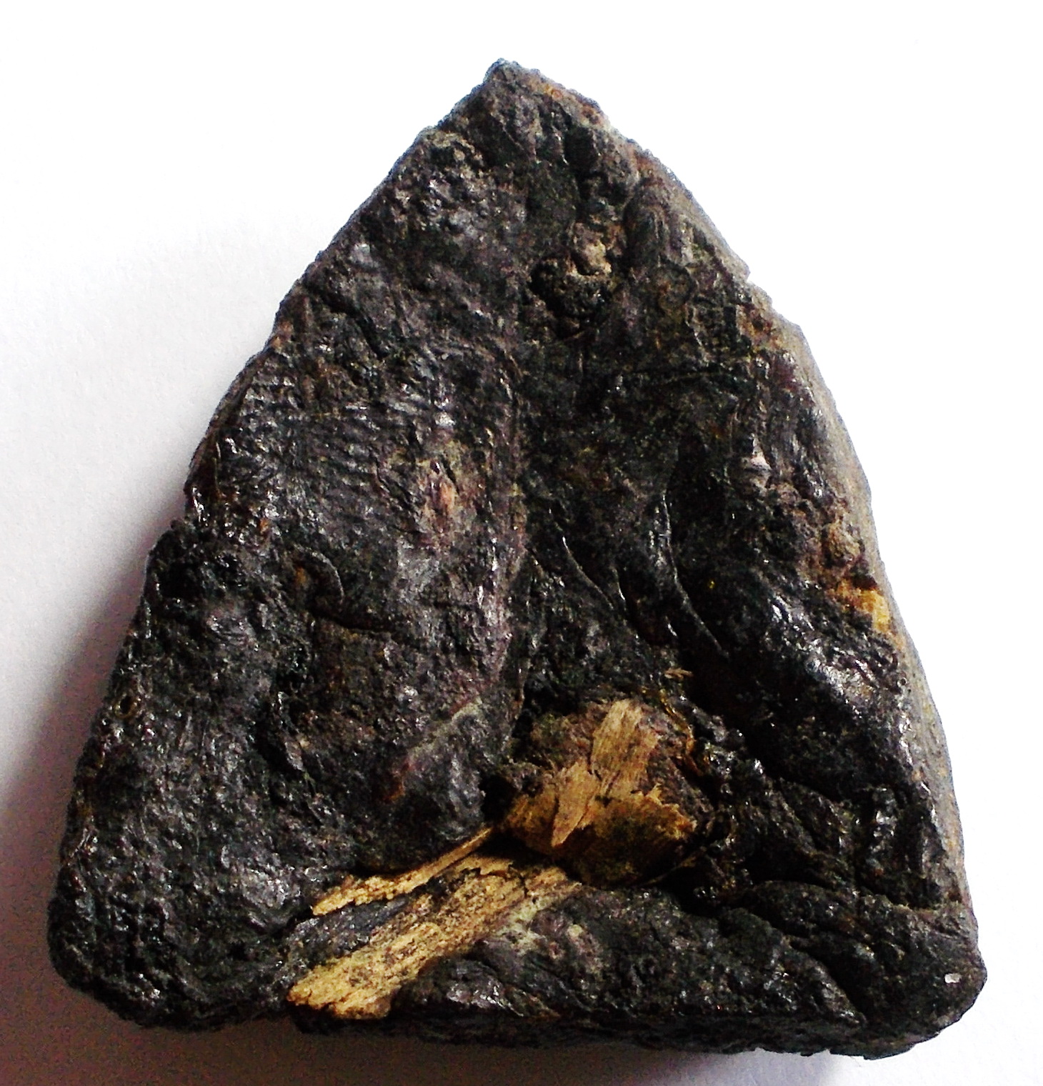 พระว่านจำปาสัก พิมพ์ลพ.โตสมาธิ