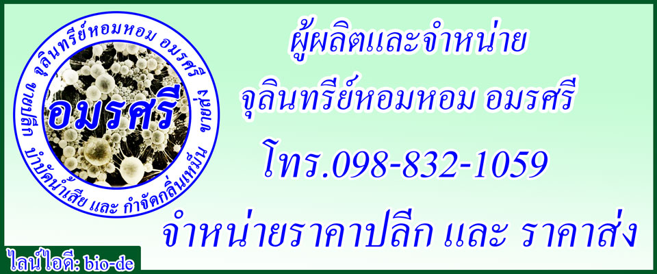 จุลินทรีย์หอมหอม อมรศรี จำหน่ายจุลินทรีย์หอมบำบัดน้ำเสีย / จุลินทรีย์หอมดับกลิ่น / จุลินทรีย์หอมกำจัดกลิ่น / อีเอ็มหอม หรือ emหอม และ จุลินทรีย์ดับกลิ่นสุนัข จุลินทรีย์ดับกลิ่น จุลินทรีย์กำจัดกลิ่นสัตว์เลี้ยง โทร.098-832-1059
