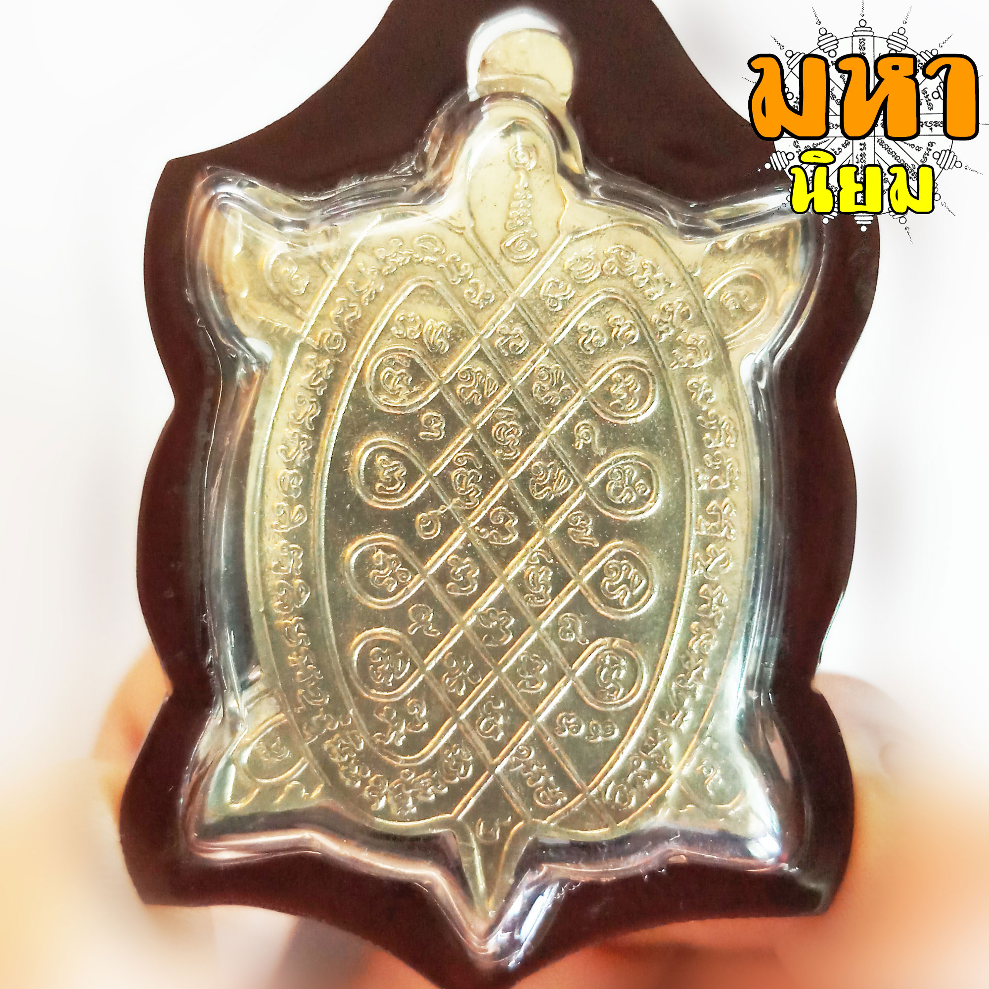 เหรียญเต่าเรือน หลวงปู่หลิว วัดไร่แตงทอง รุ่นสุขใจ เนื้อกะไหล่เงิน เลี่ยมกรอบอย่างดี