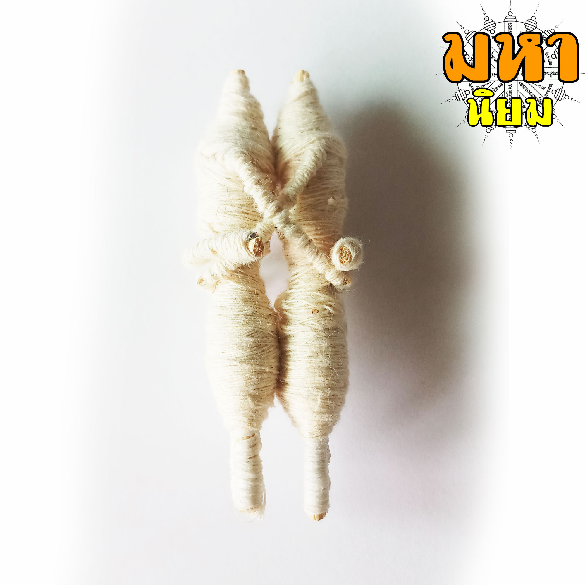 อิ้นคู่ หุ่นพยนต์ ครูบาเดช จ.ลำปาง