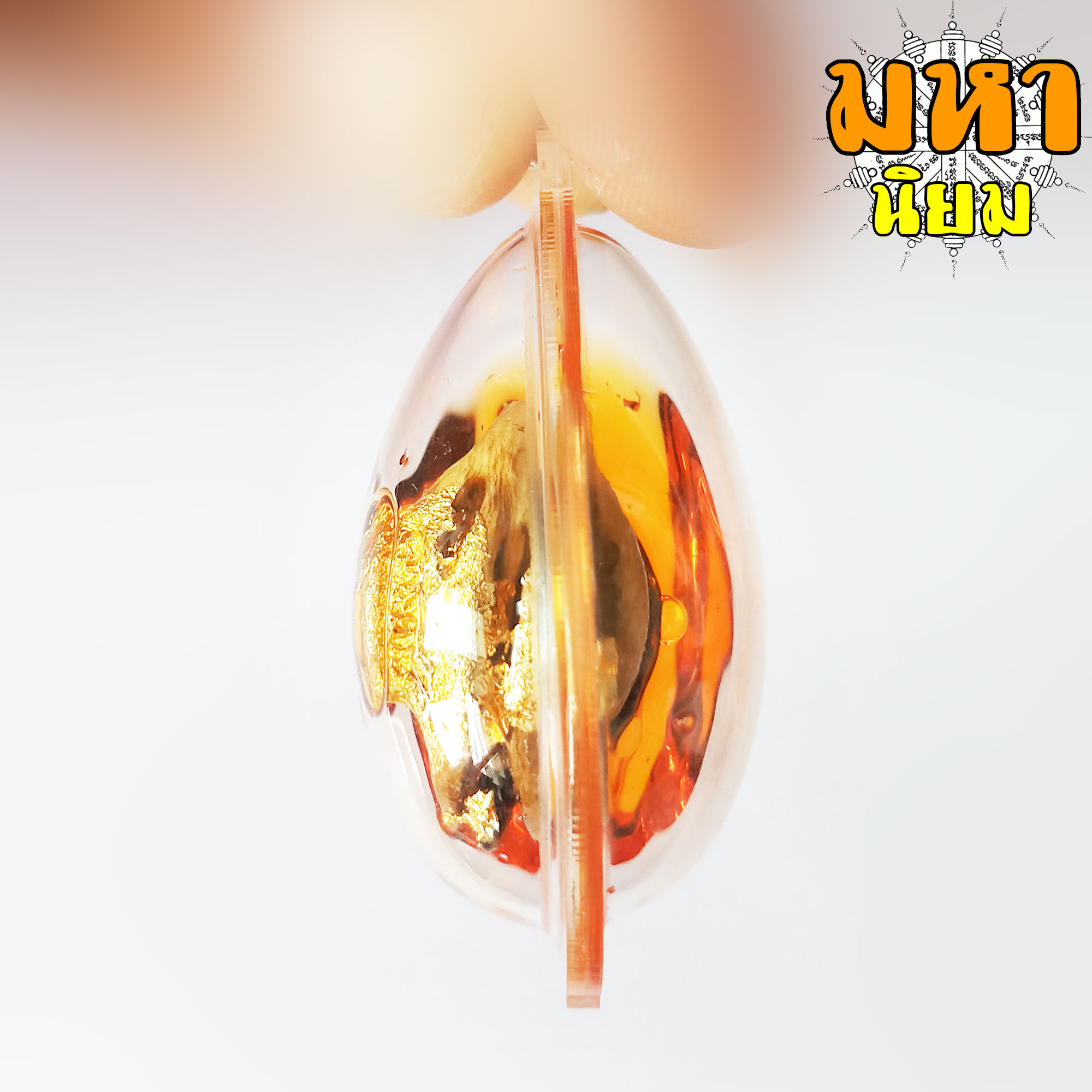 กระจับเงิน กระจับทอง พญาเล็บครุฑ ครูบาเดช กิตติญาโณ สำนักสงฆ์ป่าช้าบ้านใหม่รัตนโกสินทร์ จ.ลำปาง