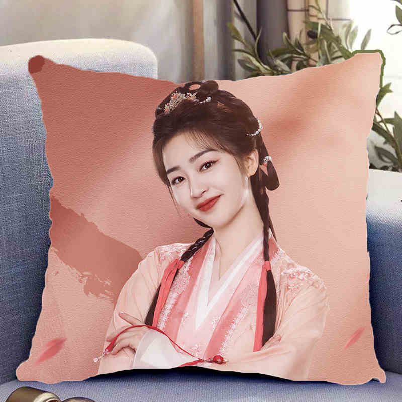 Pre - หมอนลายซีรีส์จีนทำนองรักกังวานแดนดิน 40 cm/"ติงอวี่ซี & เติ้งเอินซี"